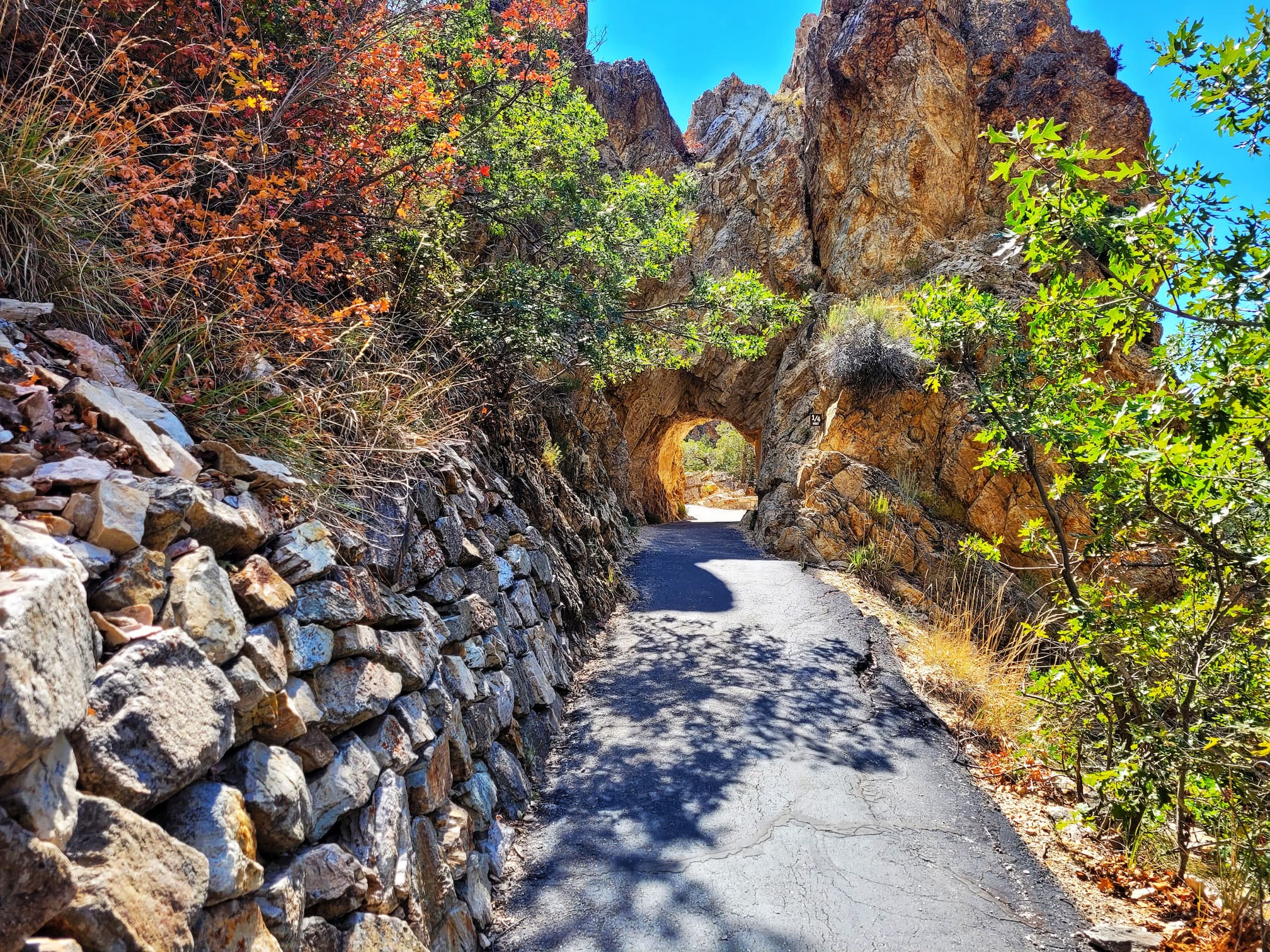photo of timpanogos cave national monument