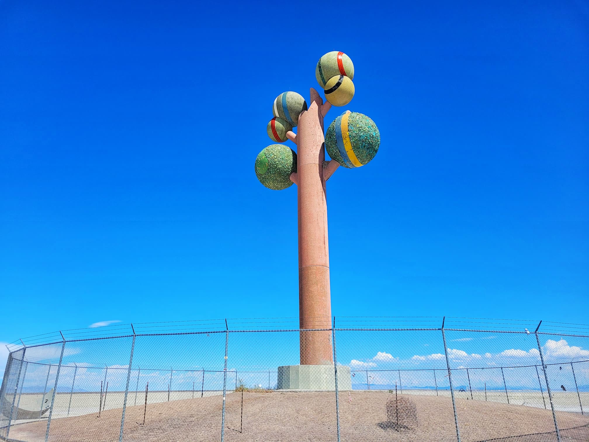 photo of tree of utah