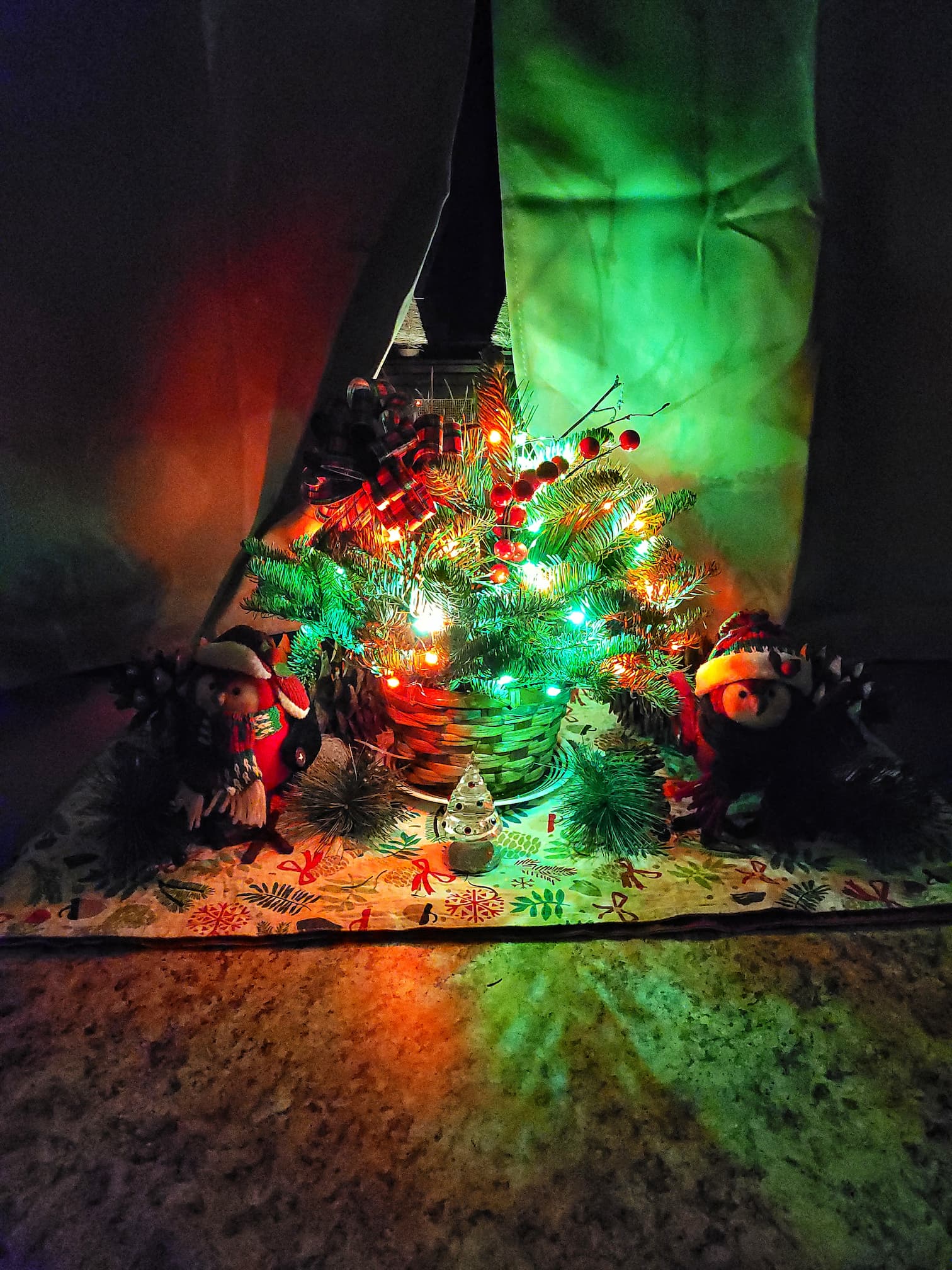 photo of my 2023 christmas decor in our rv