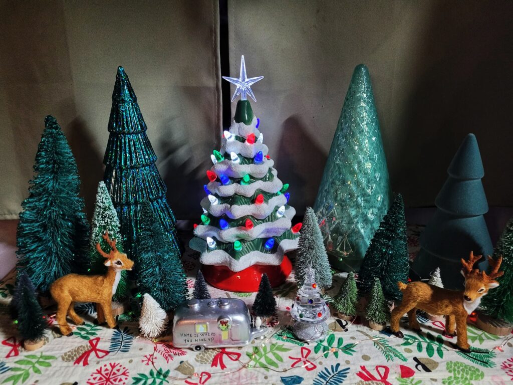 photo of my 2024 christmas decor in our rv