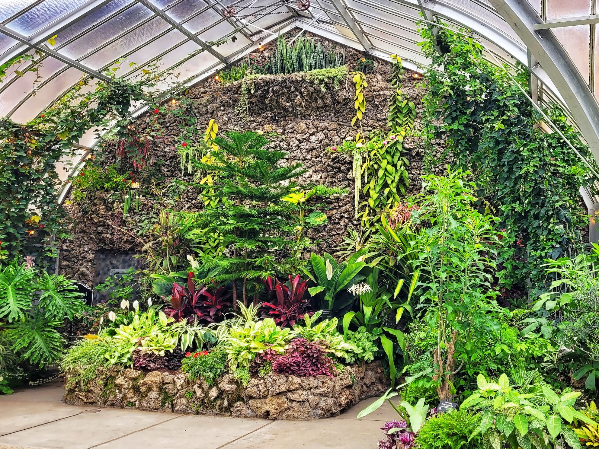 photo of belle isle conservatory