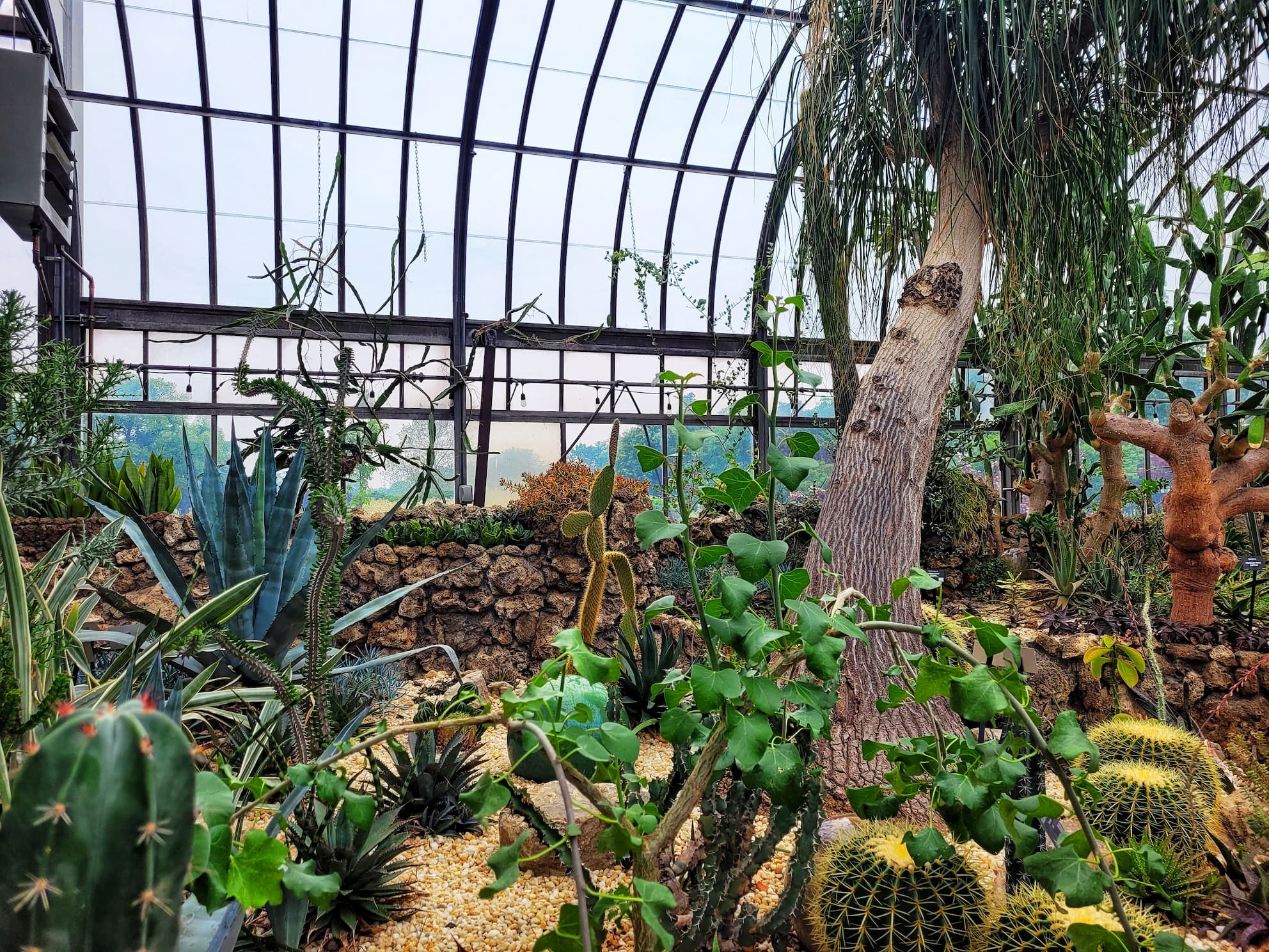 photo of belle isle conservatory