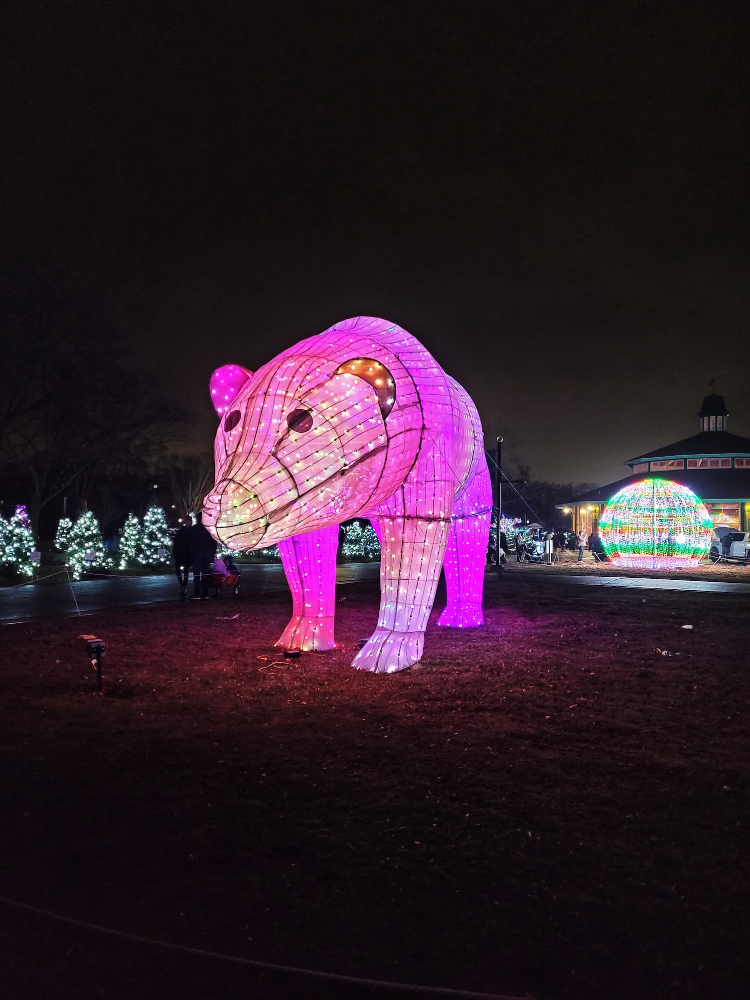 photo of brookfield zoo holiday magic christmas lights