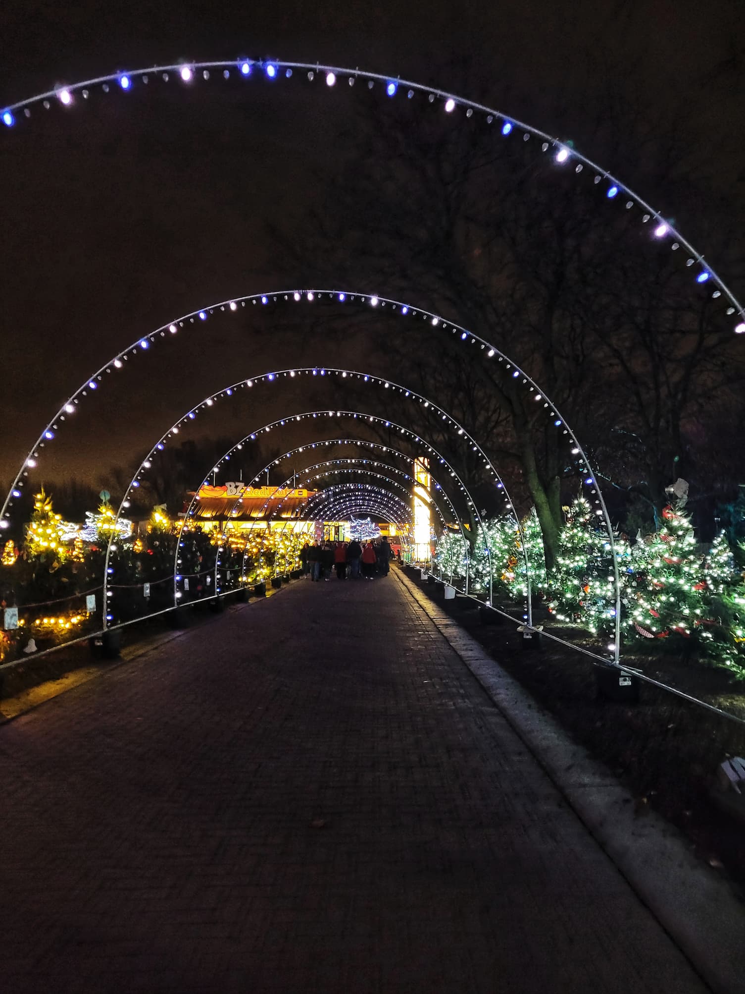 photo of brookfield zoo holiday magic christmas light display