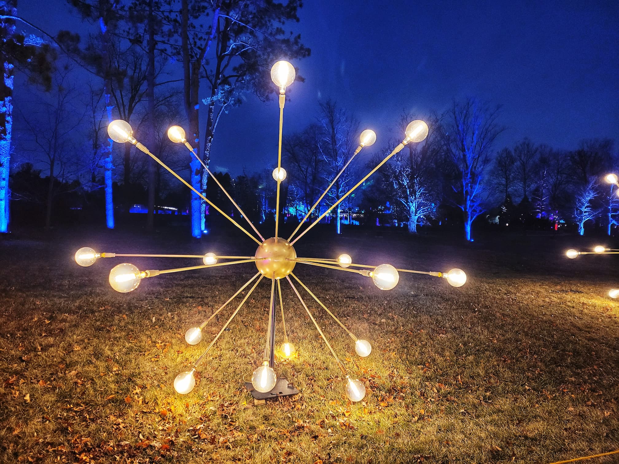 photo of morton arboretum illumination: tree lights walk through christmas light display