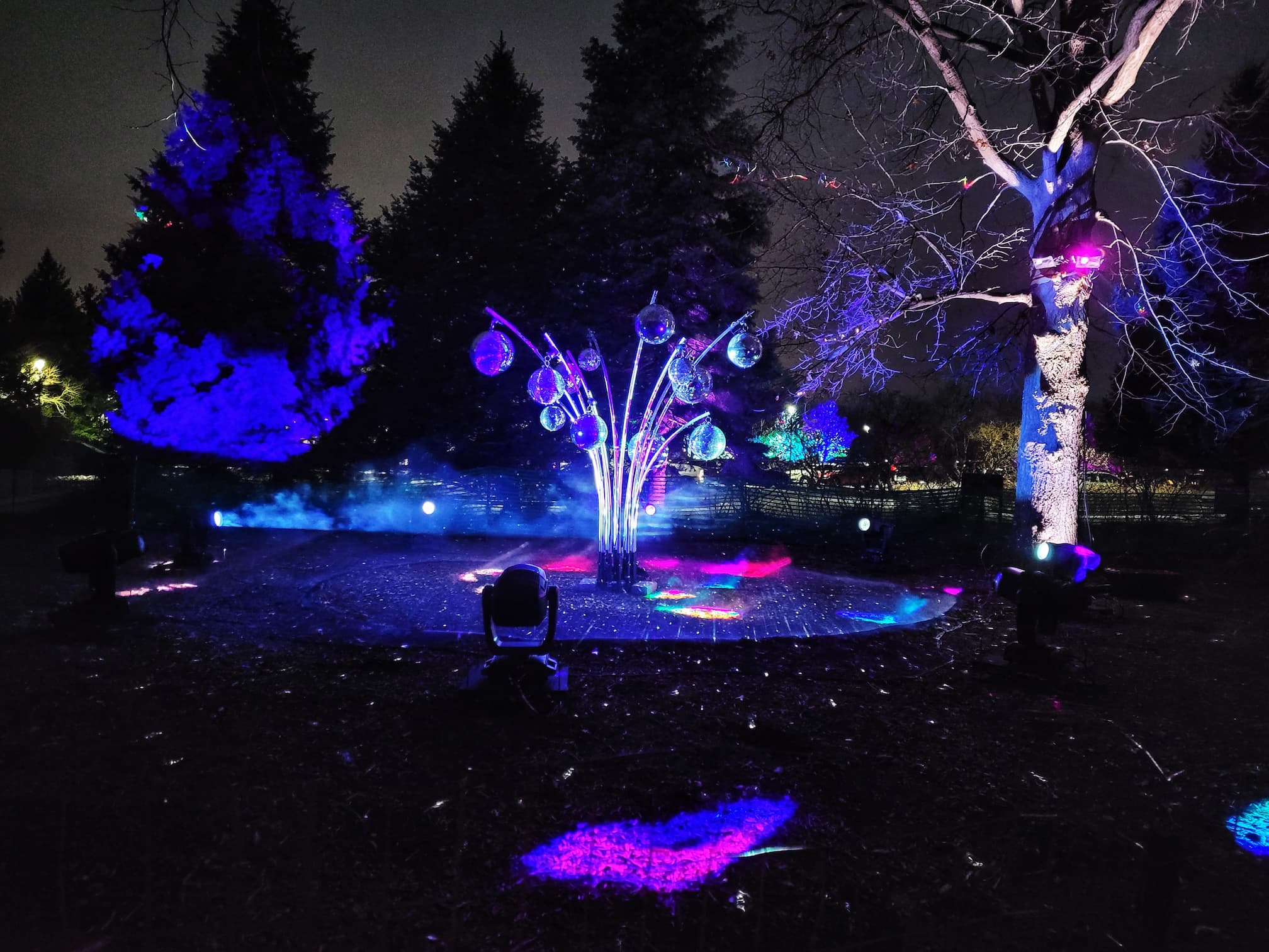 photo of morton arboretum illumination: tree lights walk through christmas light display