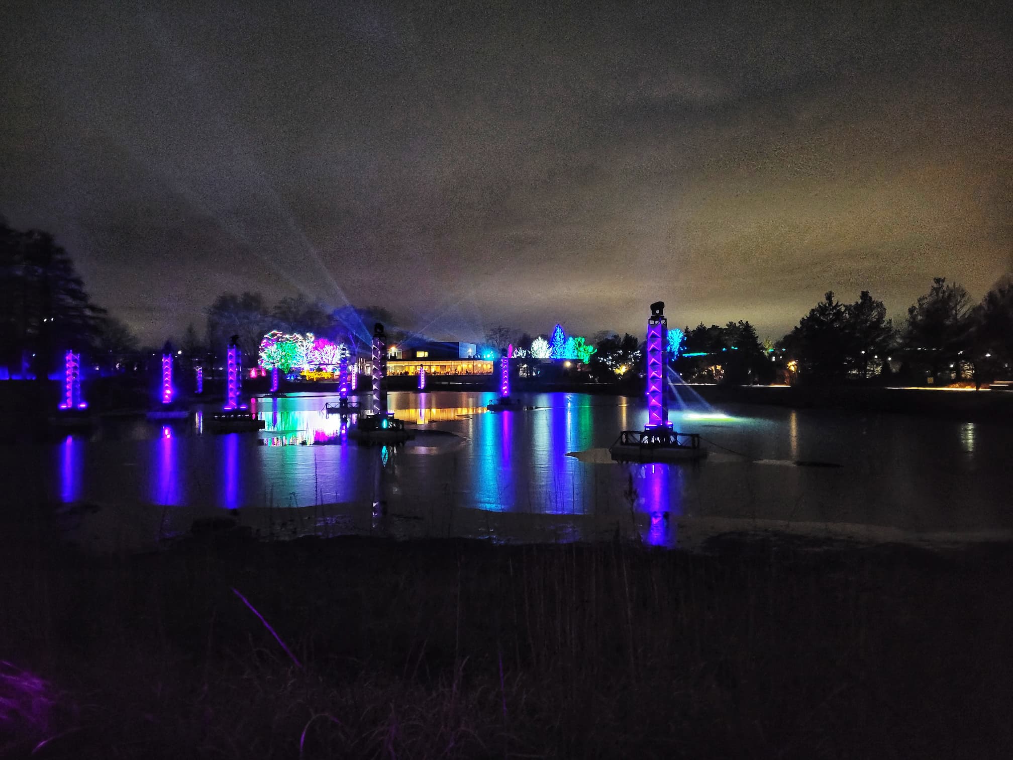 photo of morton arboretum illumination: tree lights walk through christmas light display