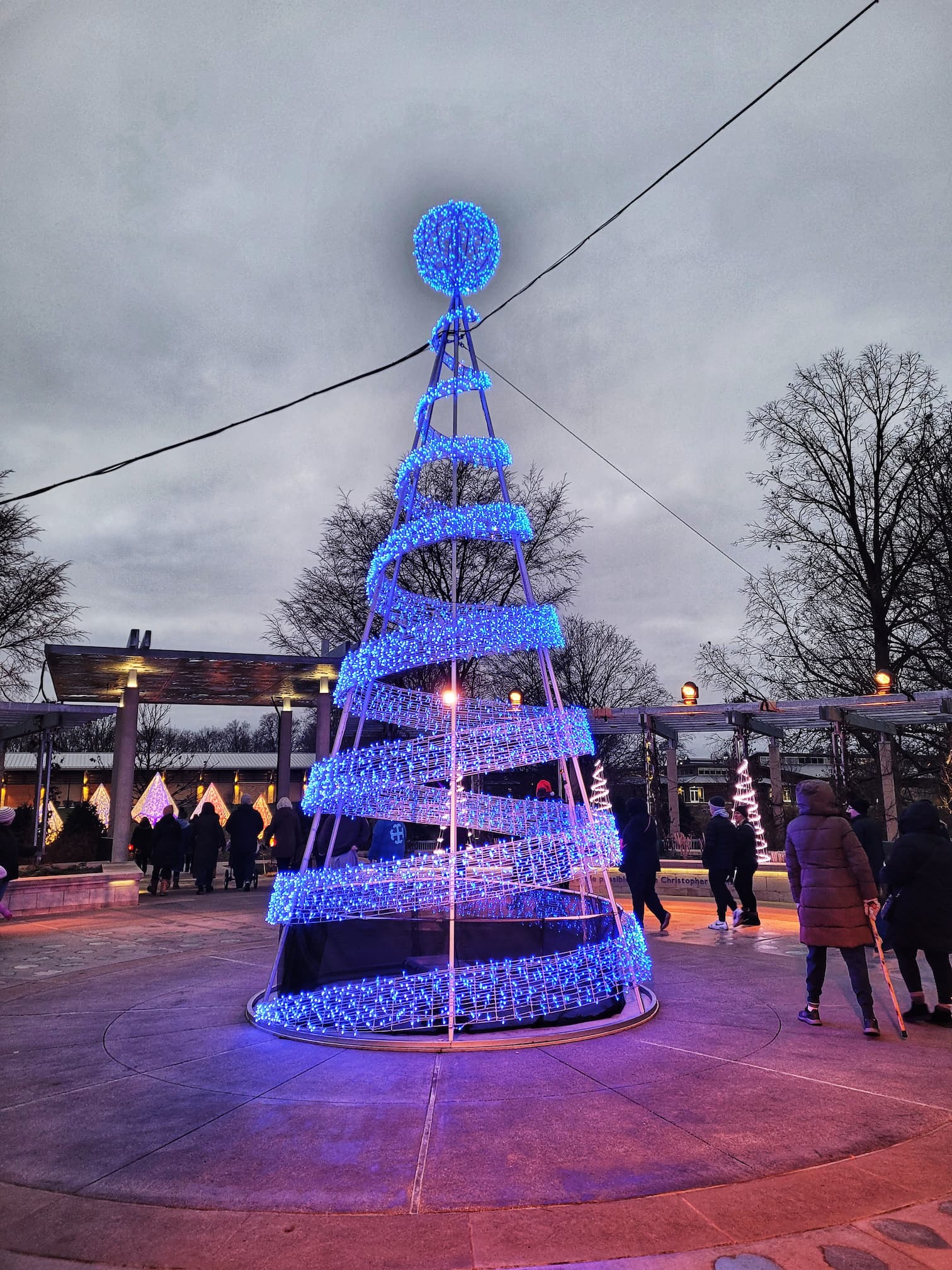 photo of morton arboretum illumination: tree lights walk through christmas light display