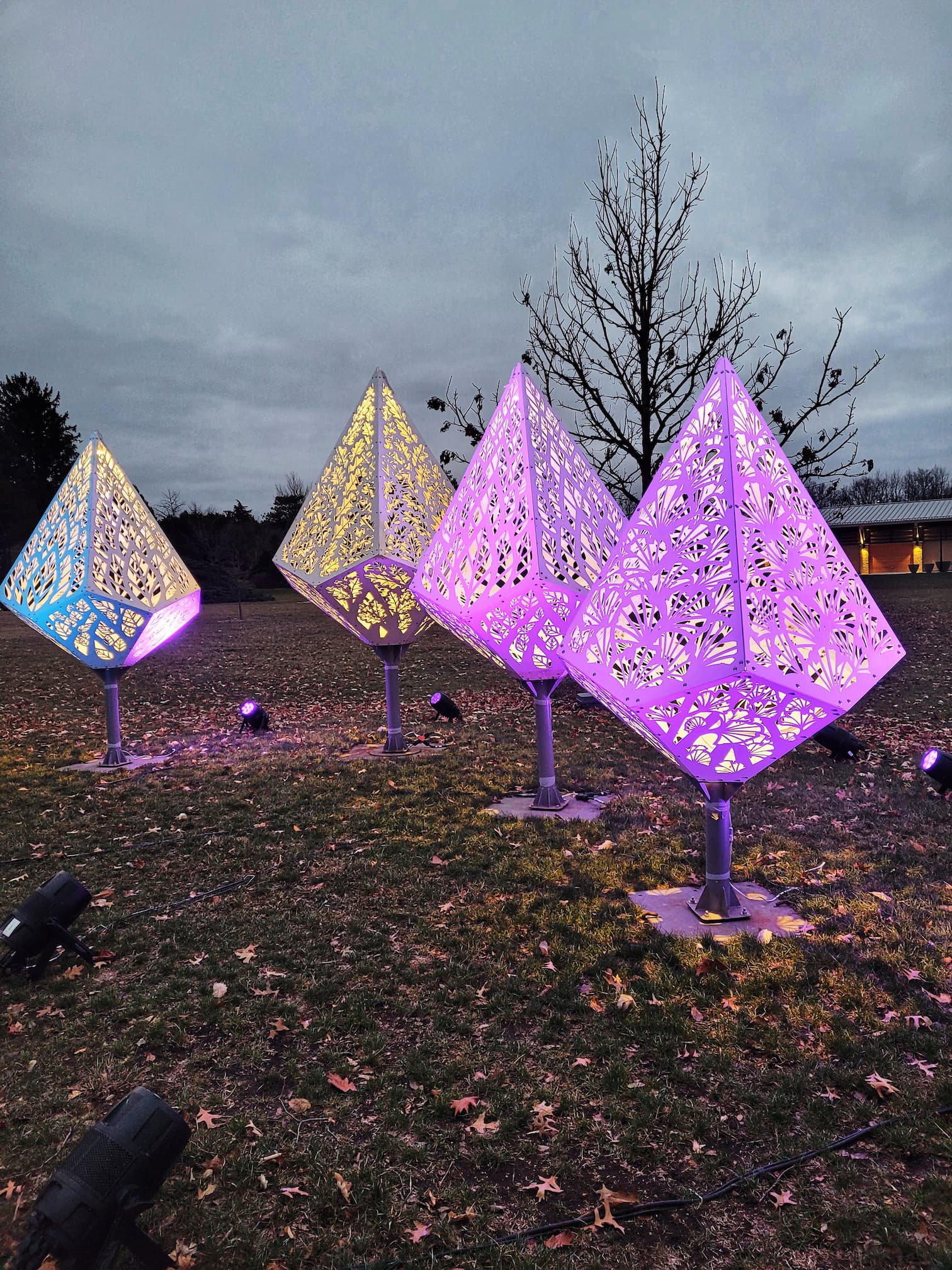 photo of morton arboretum illumination: tree lights walk through christmas light display