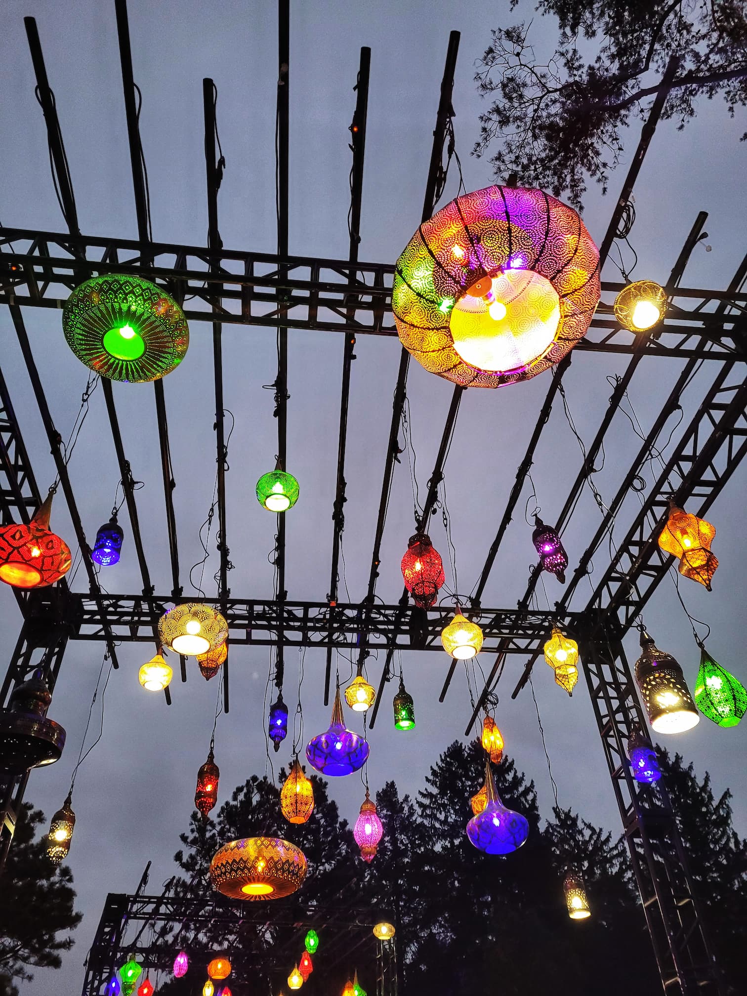 photo of morton arboretum illumination: tree lights walk through christmas light display
