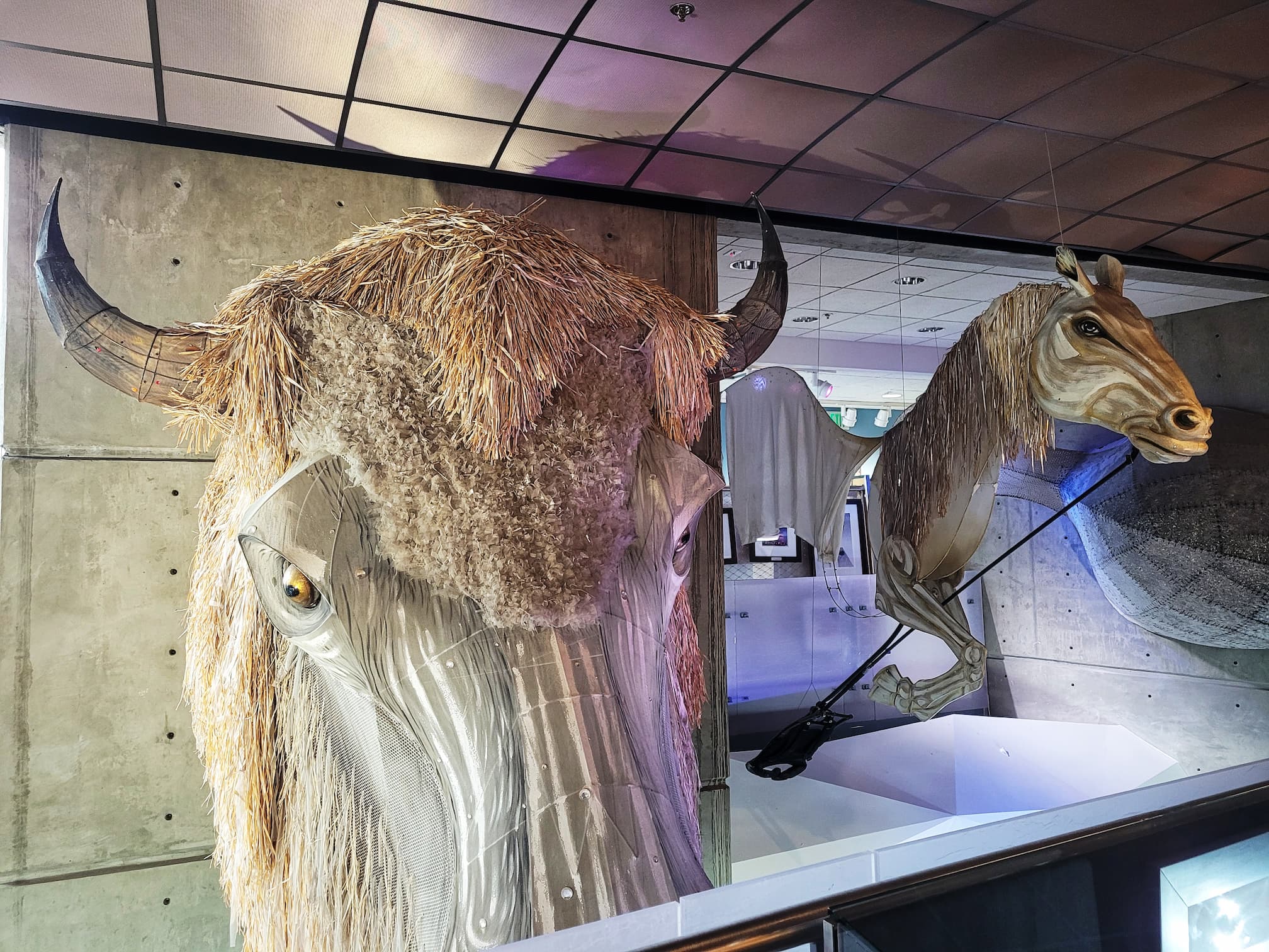 photo of utah olympic park museum