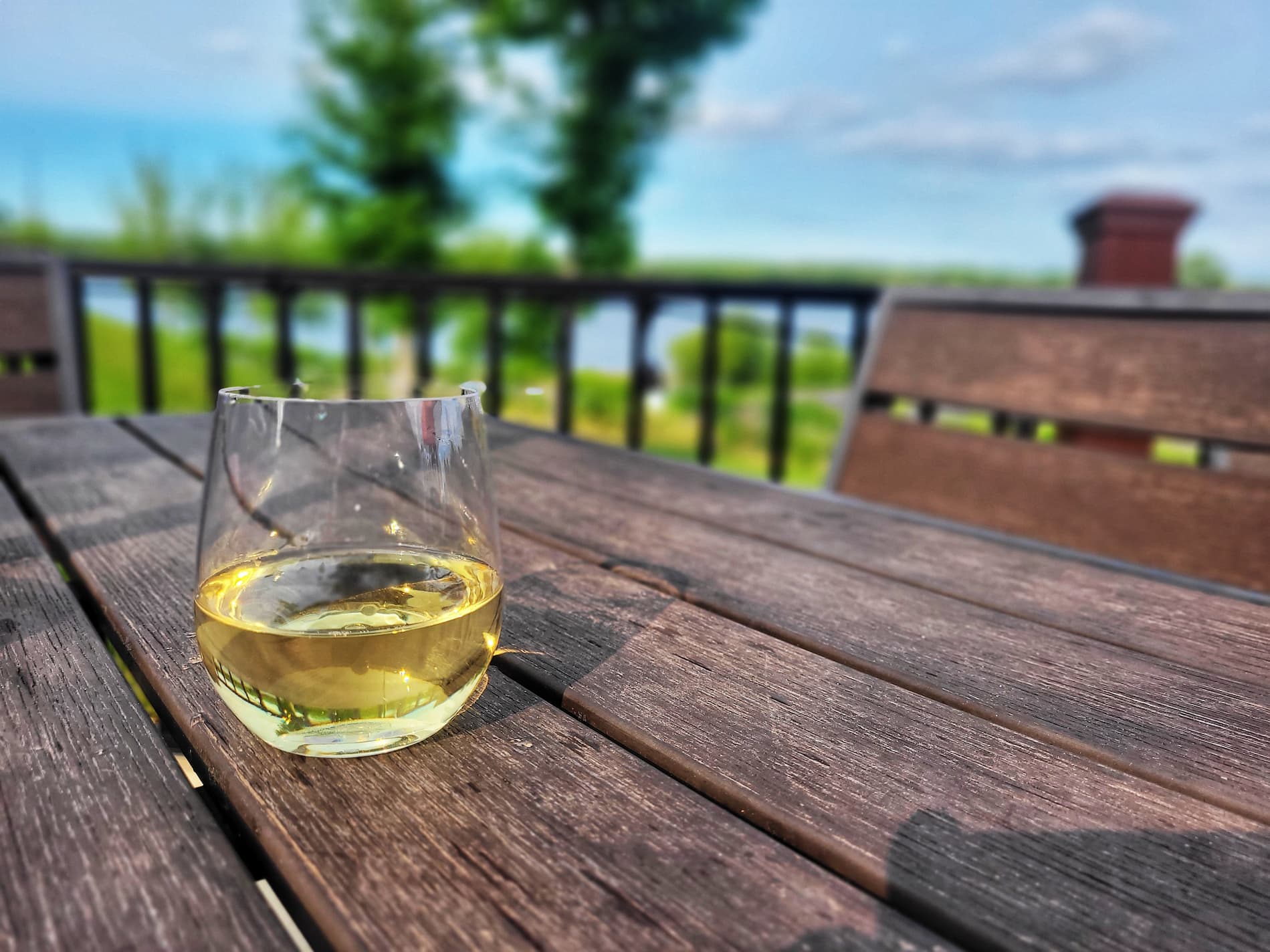 photo of the vineyards at pine lake wine