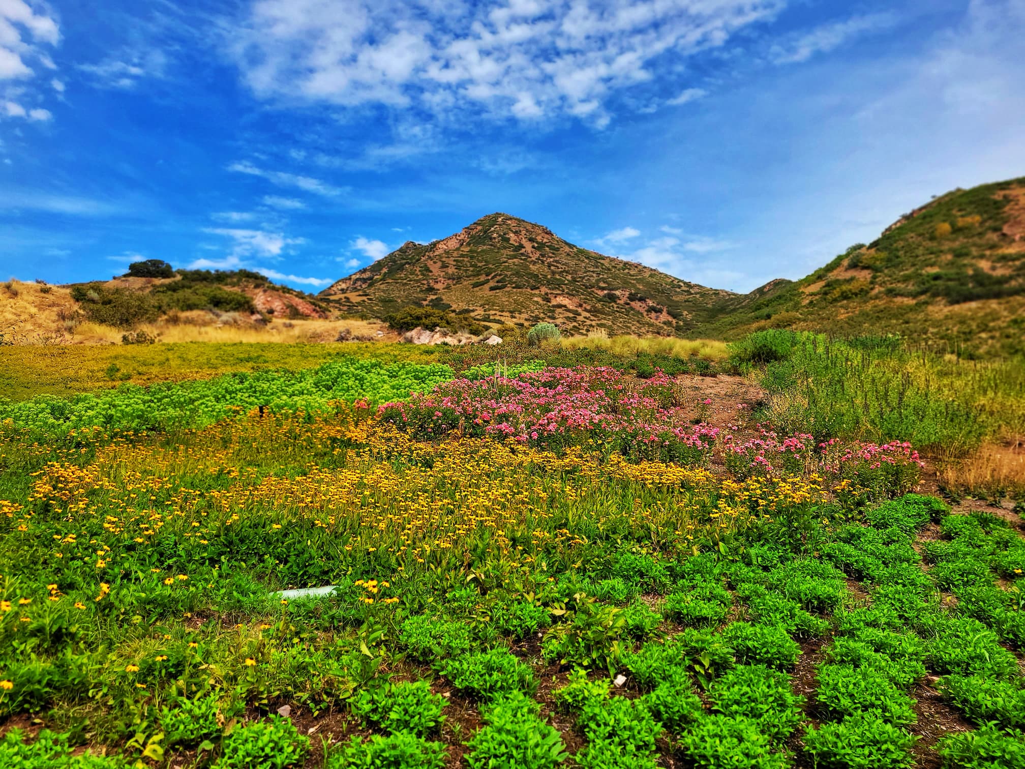 photo of red butte garden in salt lake city