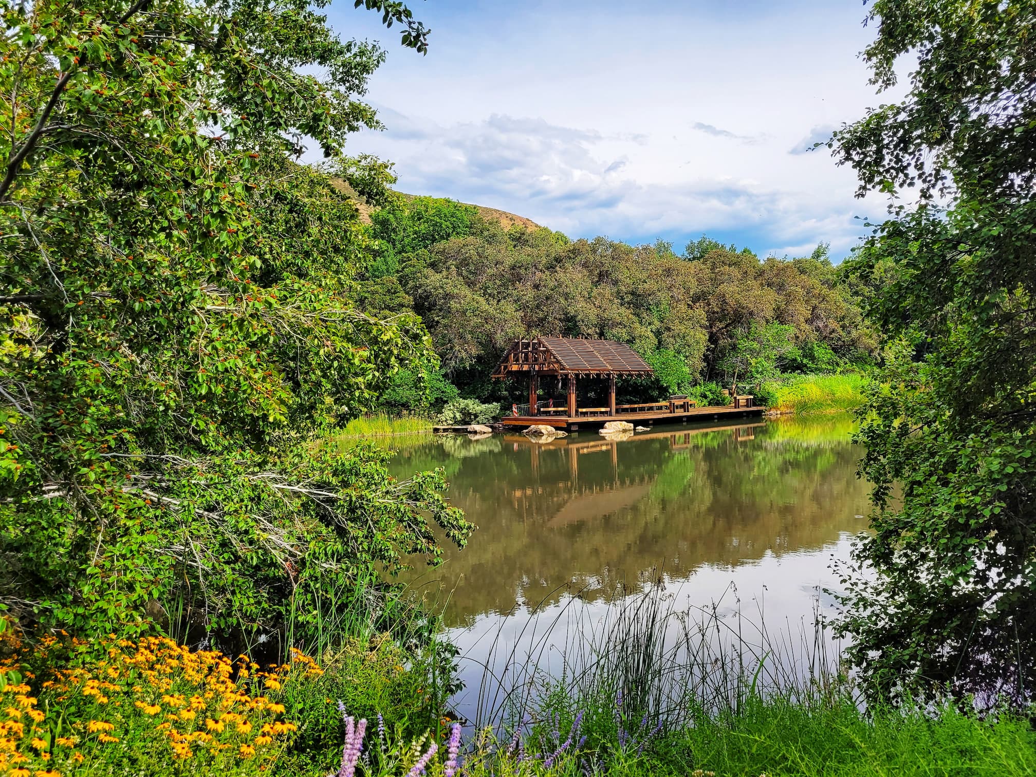 photo of red butte garden pond
