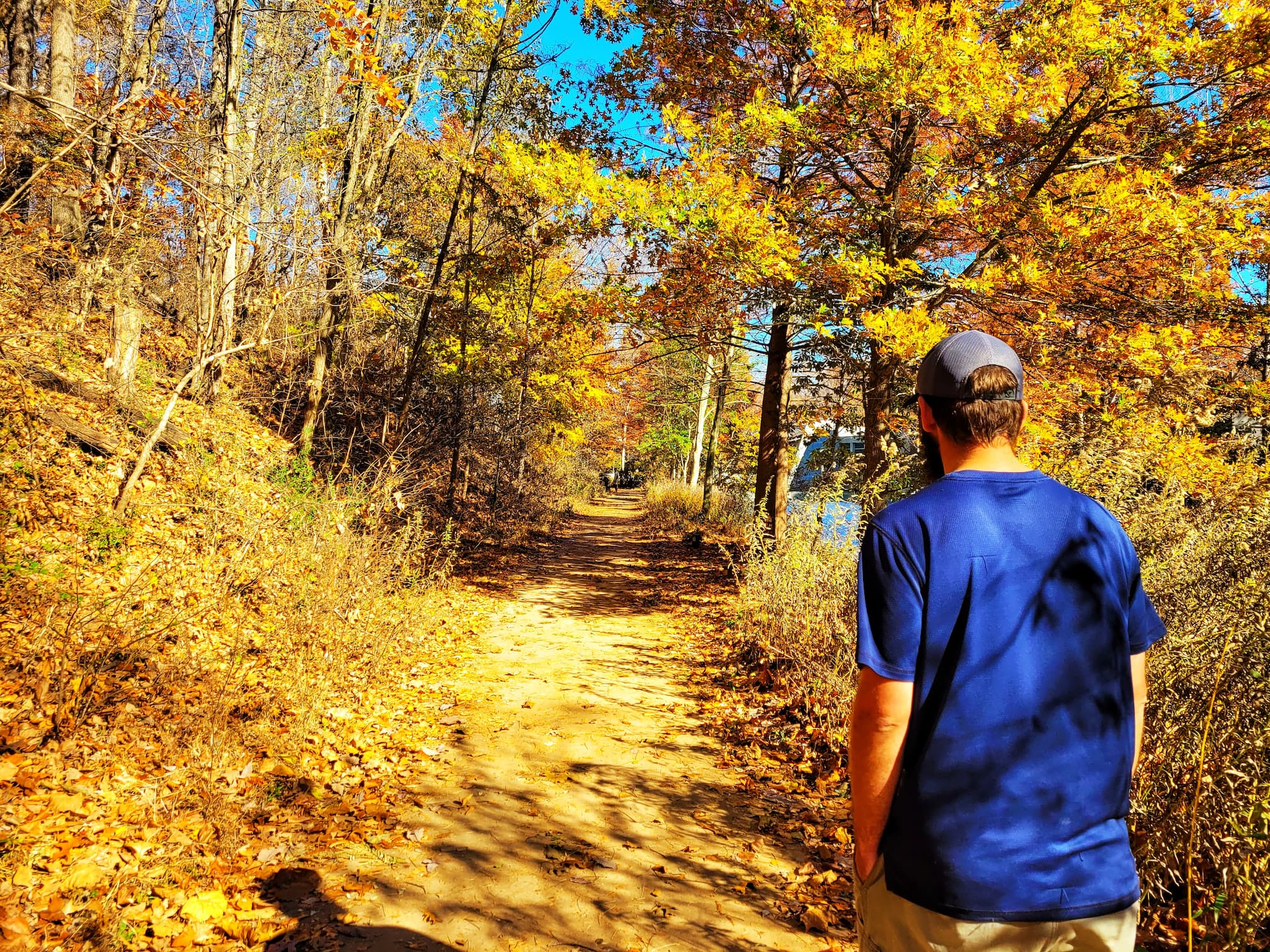 photo of crystal bridges museum trails