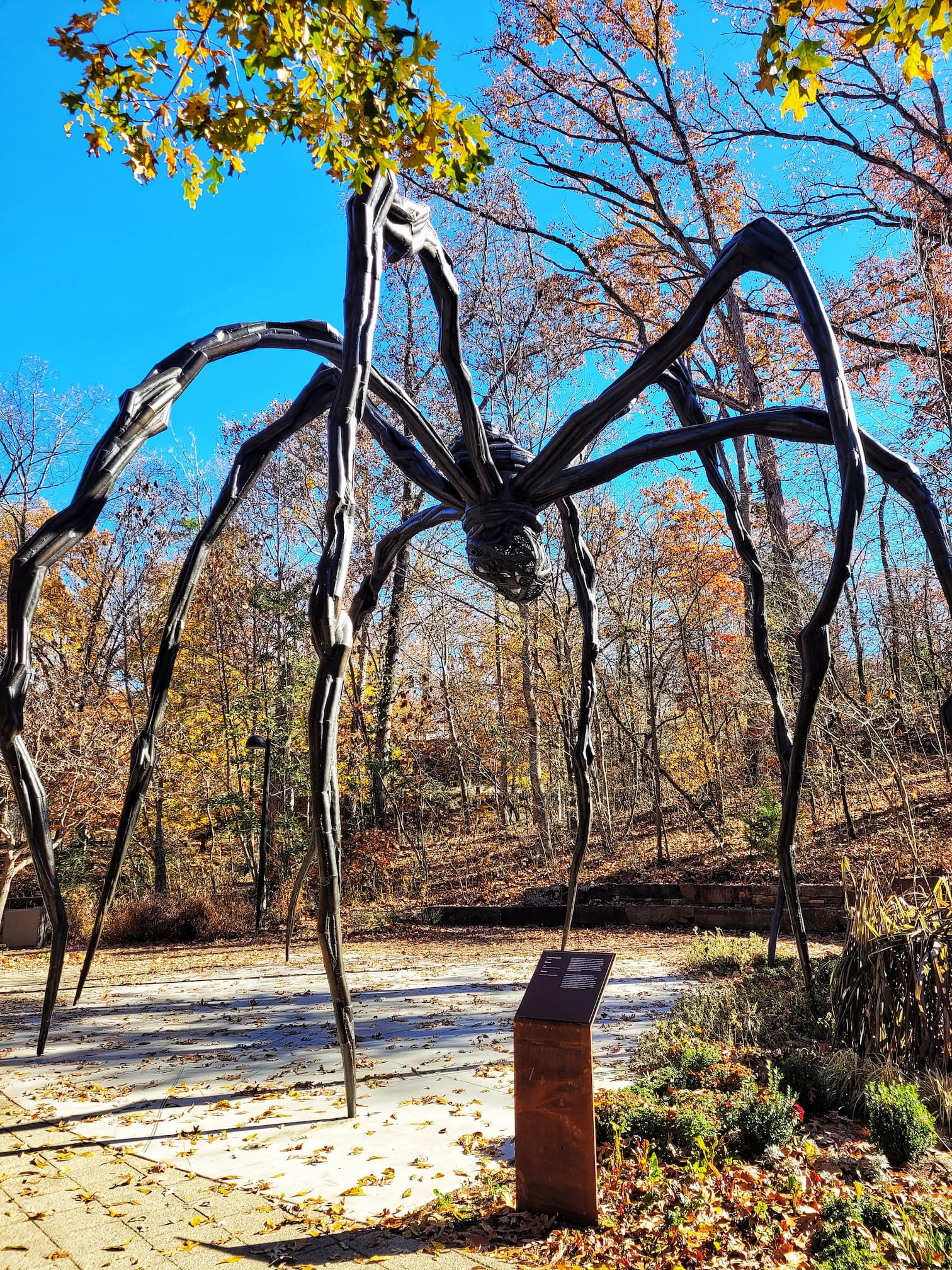 photo of maman sculpture