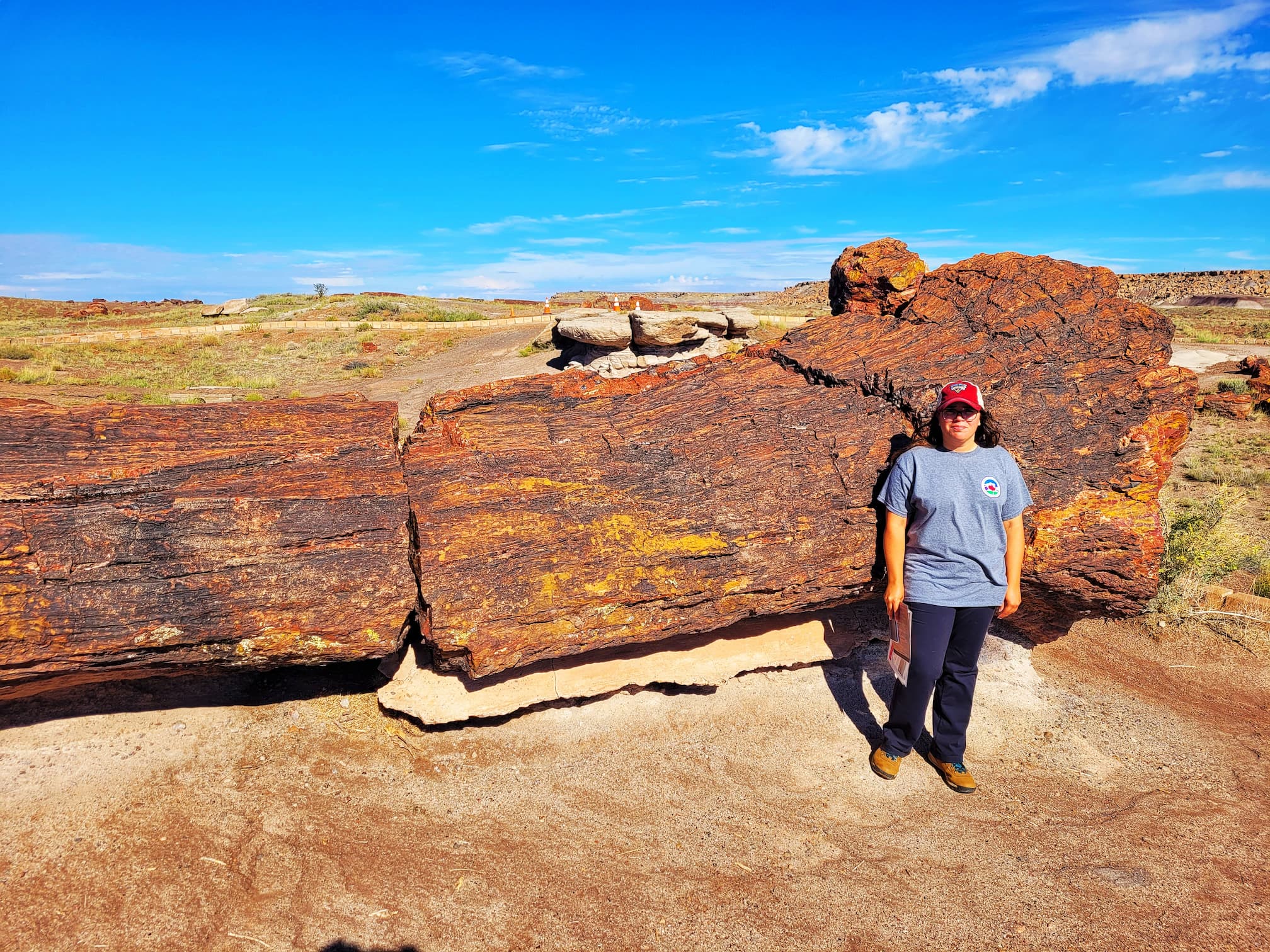 photo of petrified forest