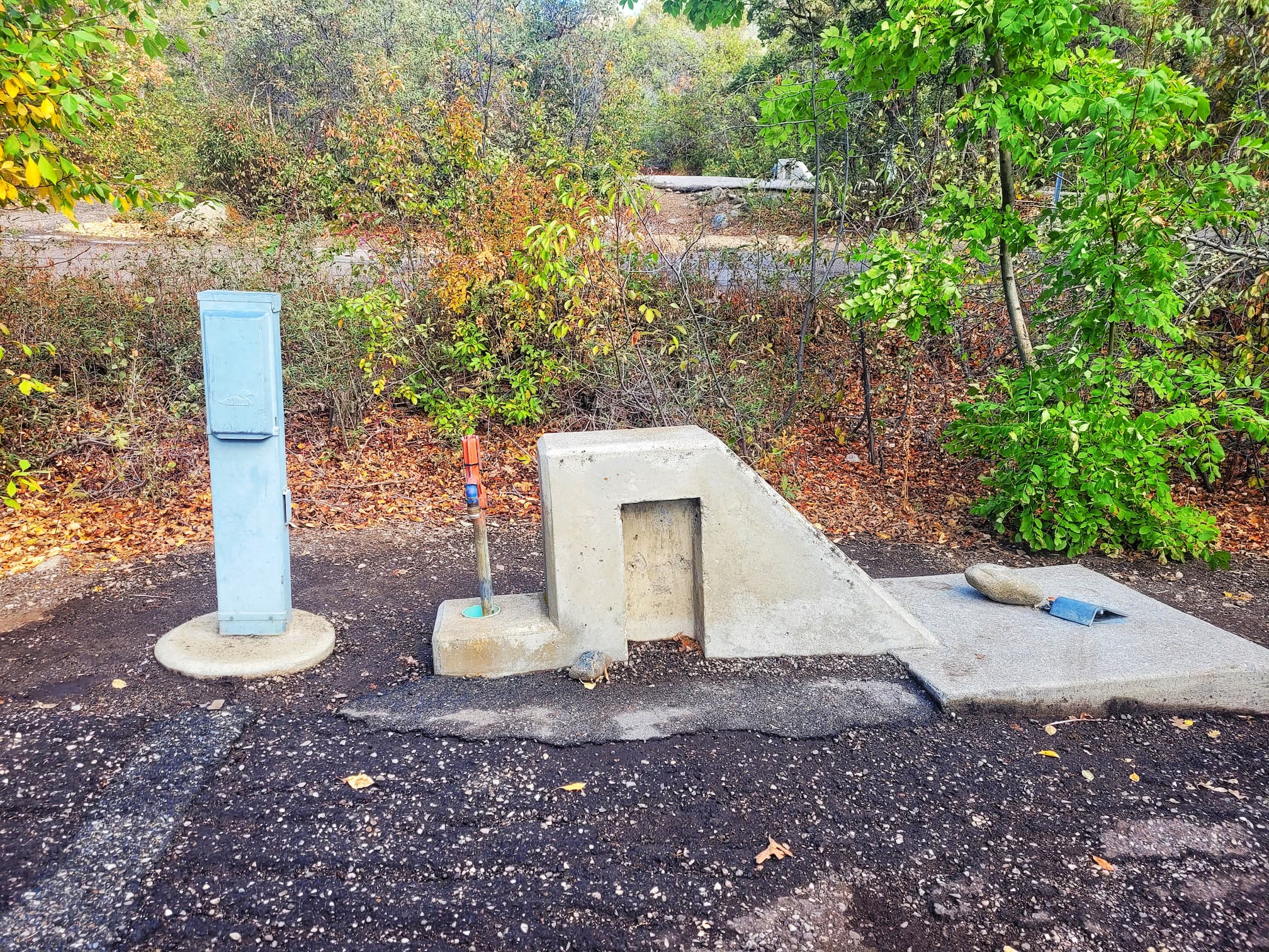 photo of mahogony campsite