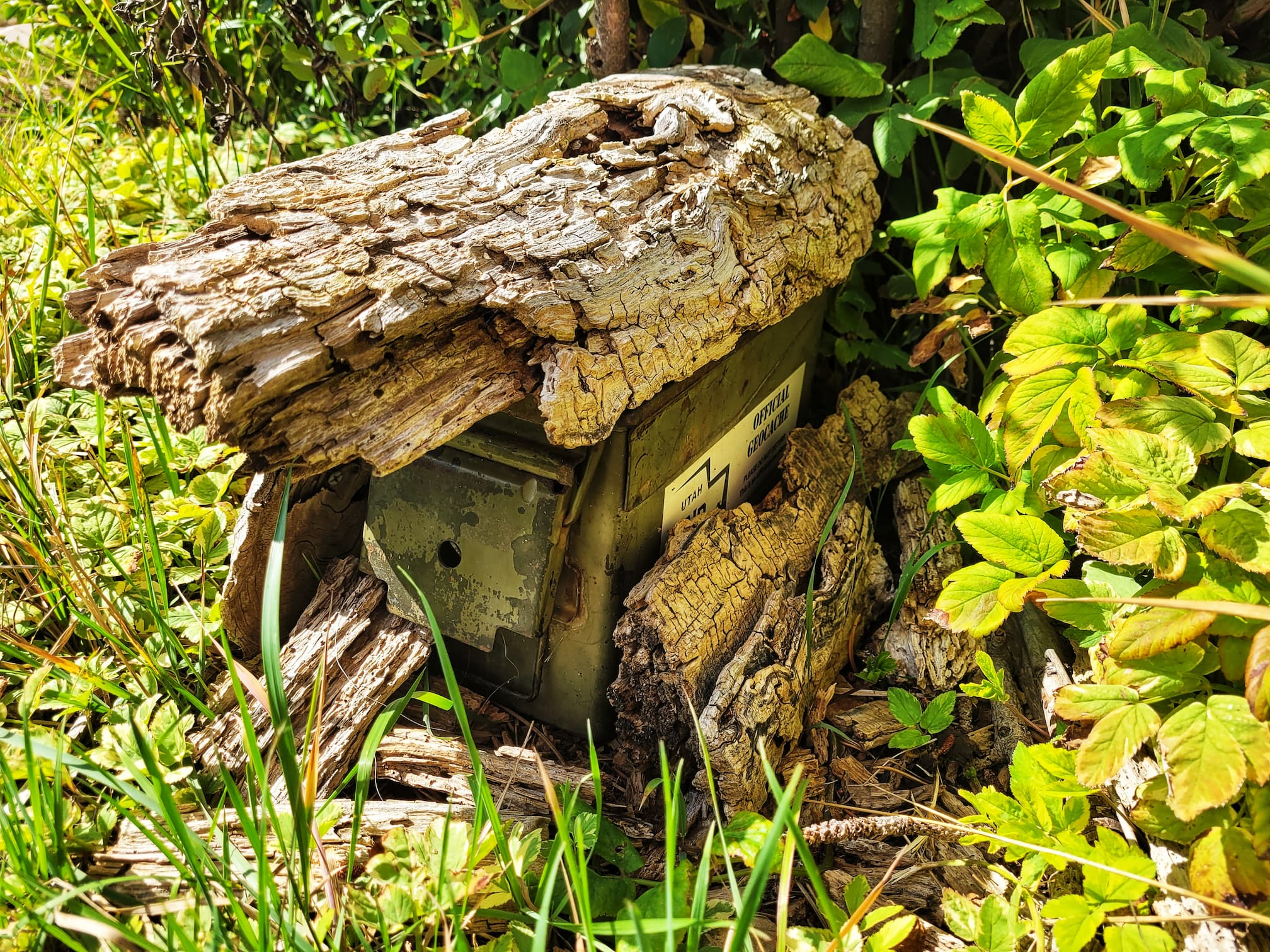 photo of wasatch mountain state park geocache
