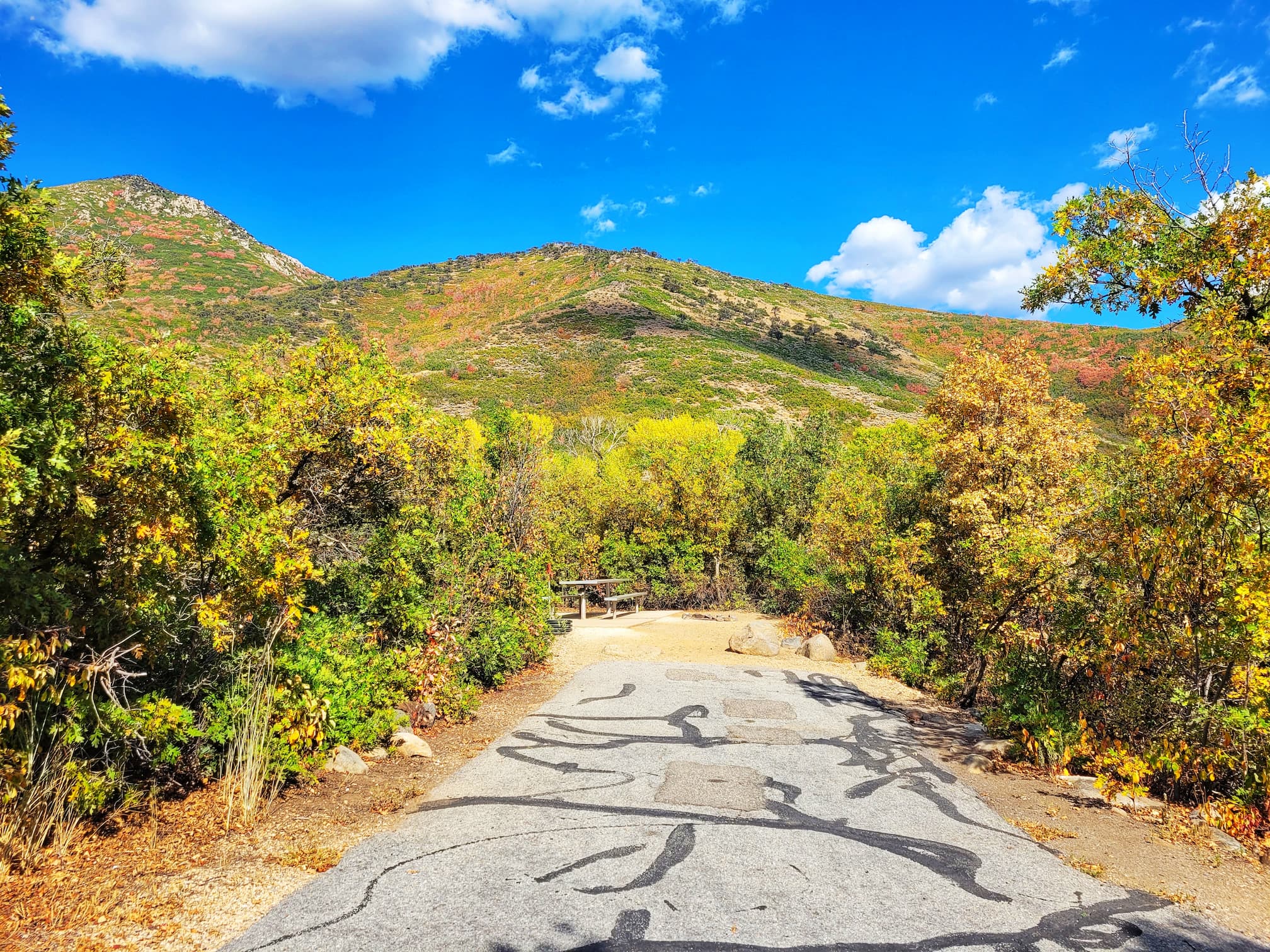 photo of oak hollow campsite