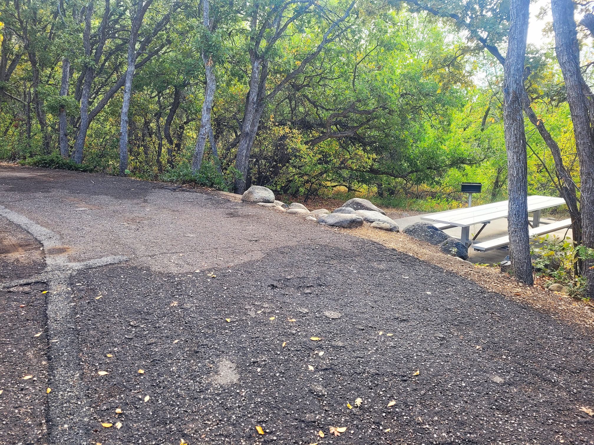 photo of mahogony campsite