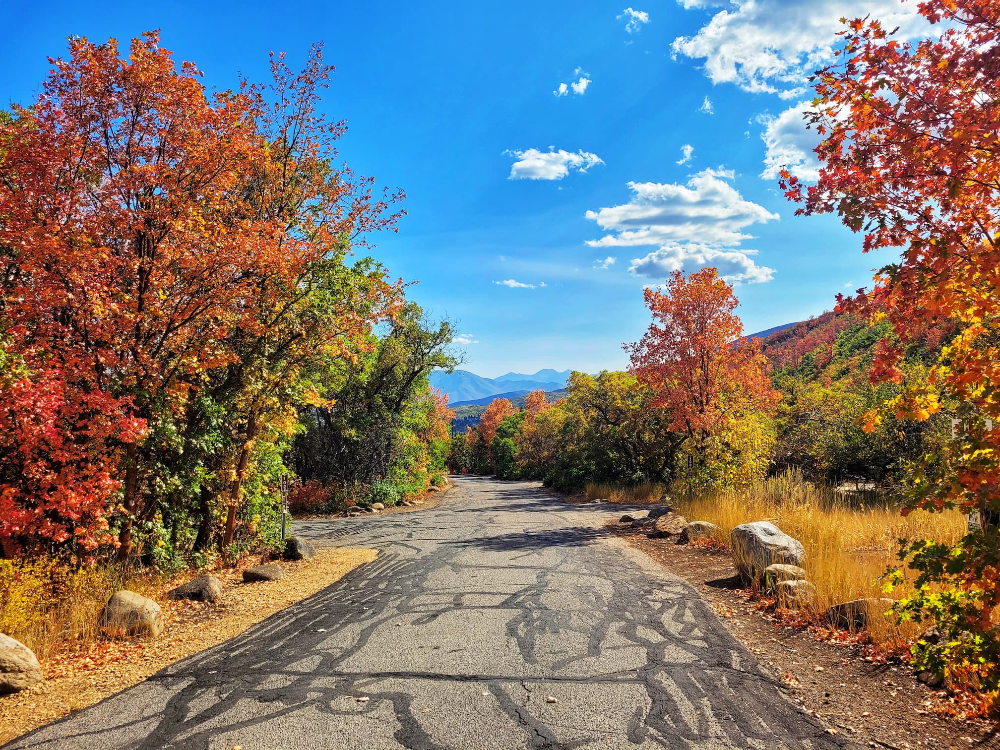 photo of wasatch mountain state park campground