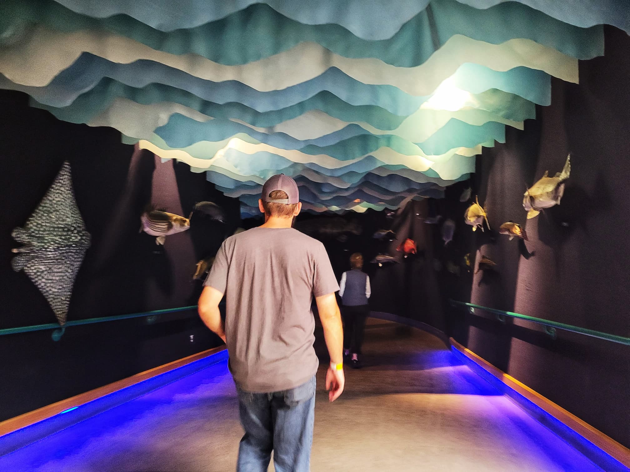 photo of abq biopark aquarium