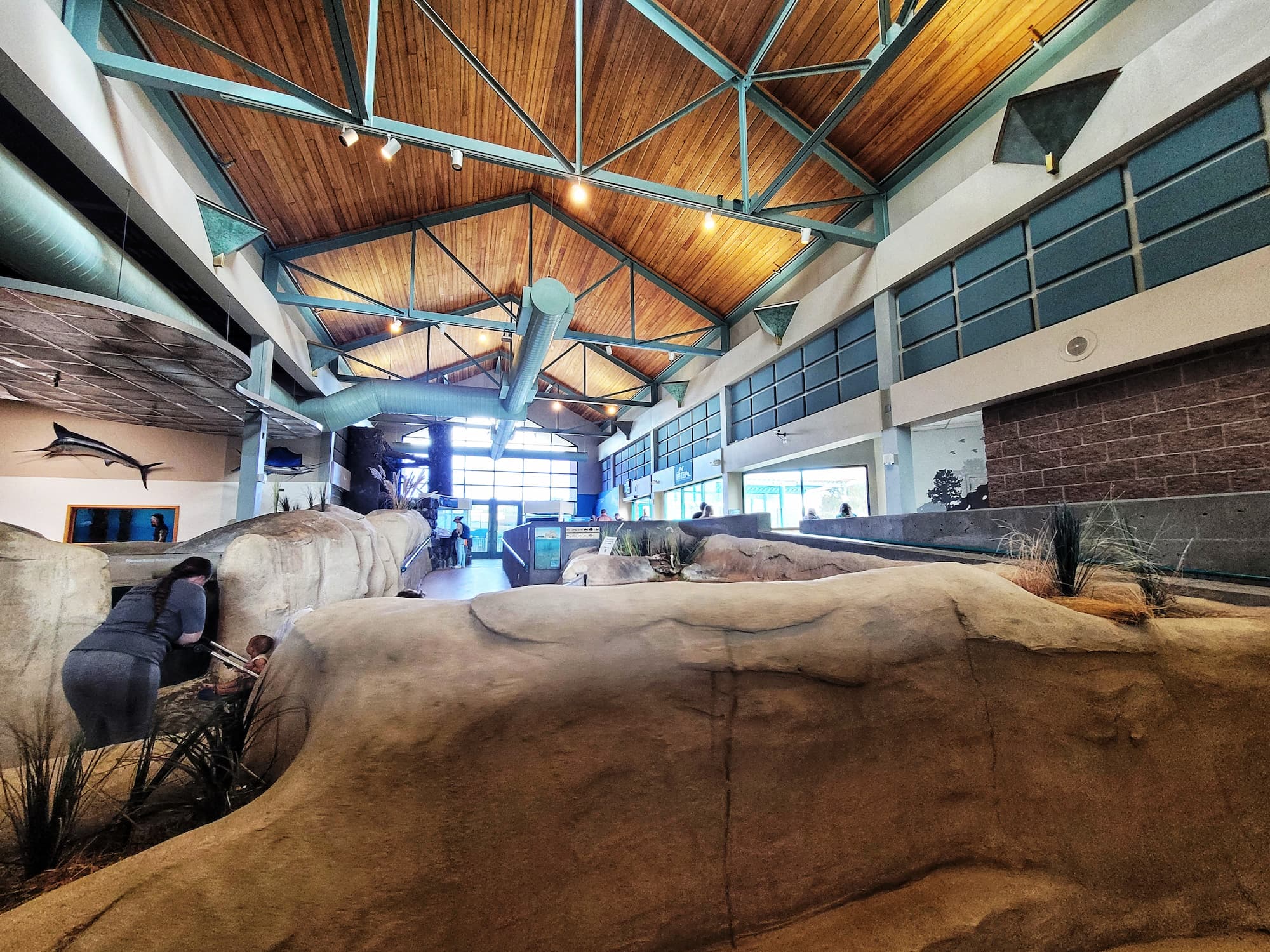 photo of abq biopark aquarium