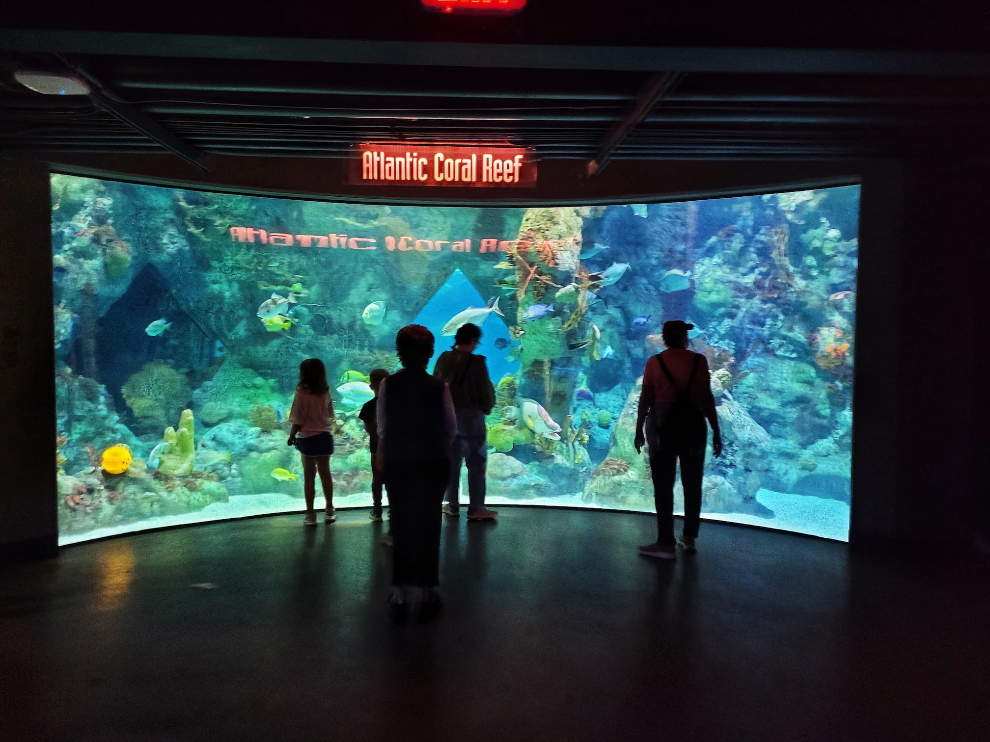 photo of abq biopark coral reef