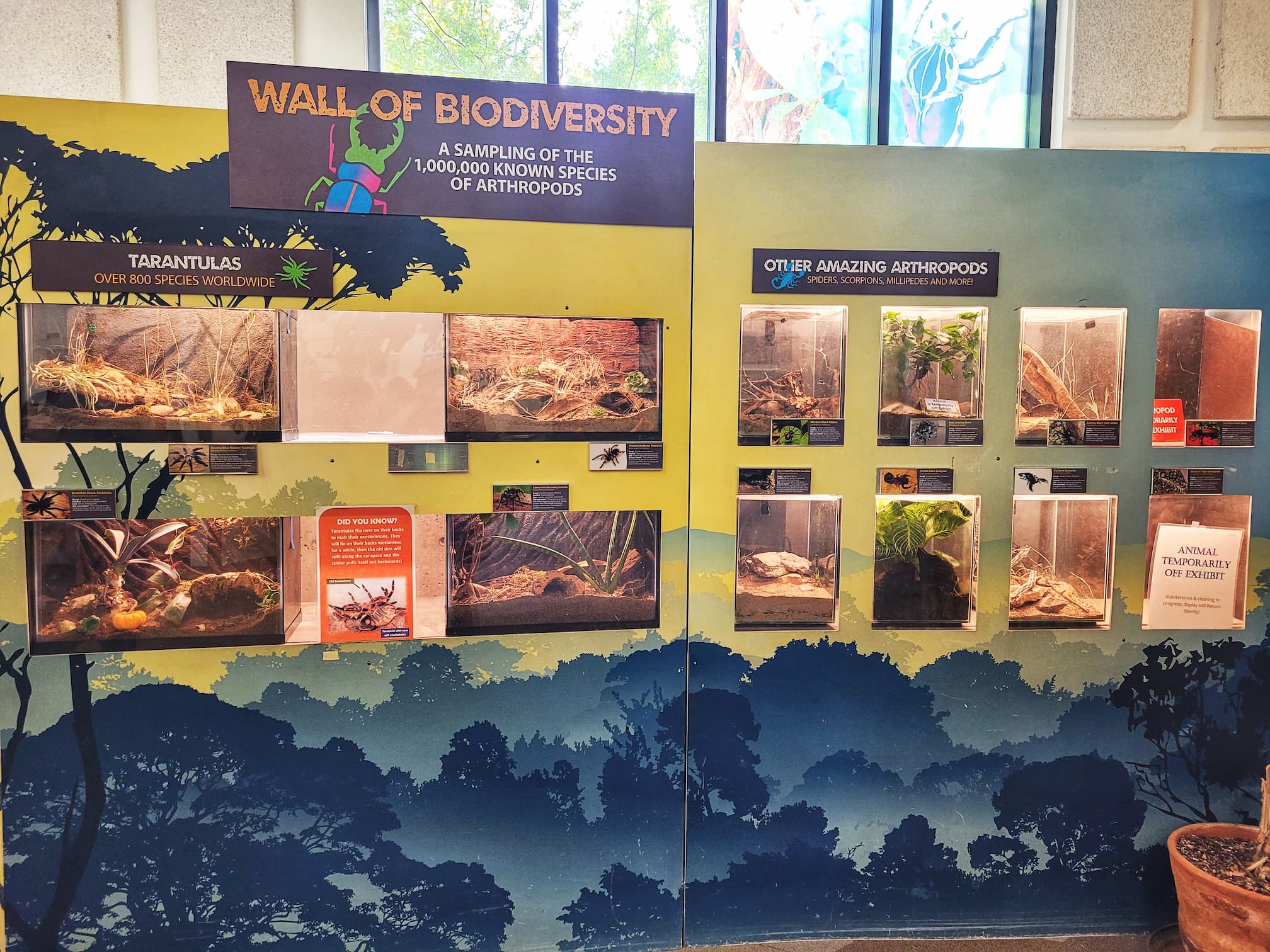 photo of abq biopark bugarium