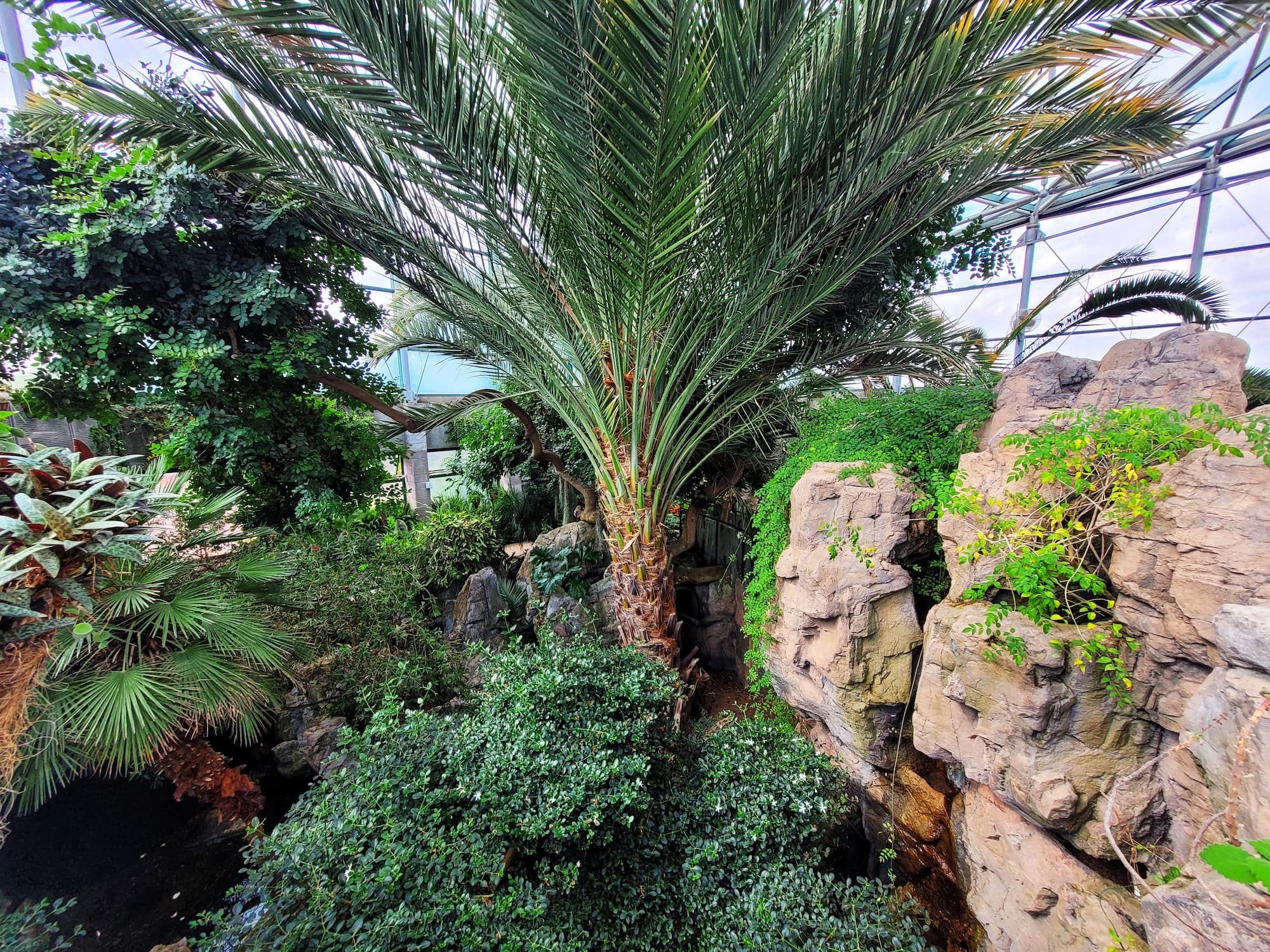 photo of abq biopark botanic garden