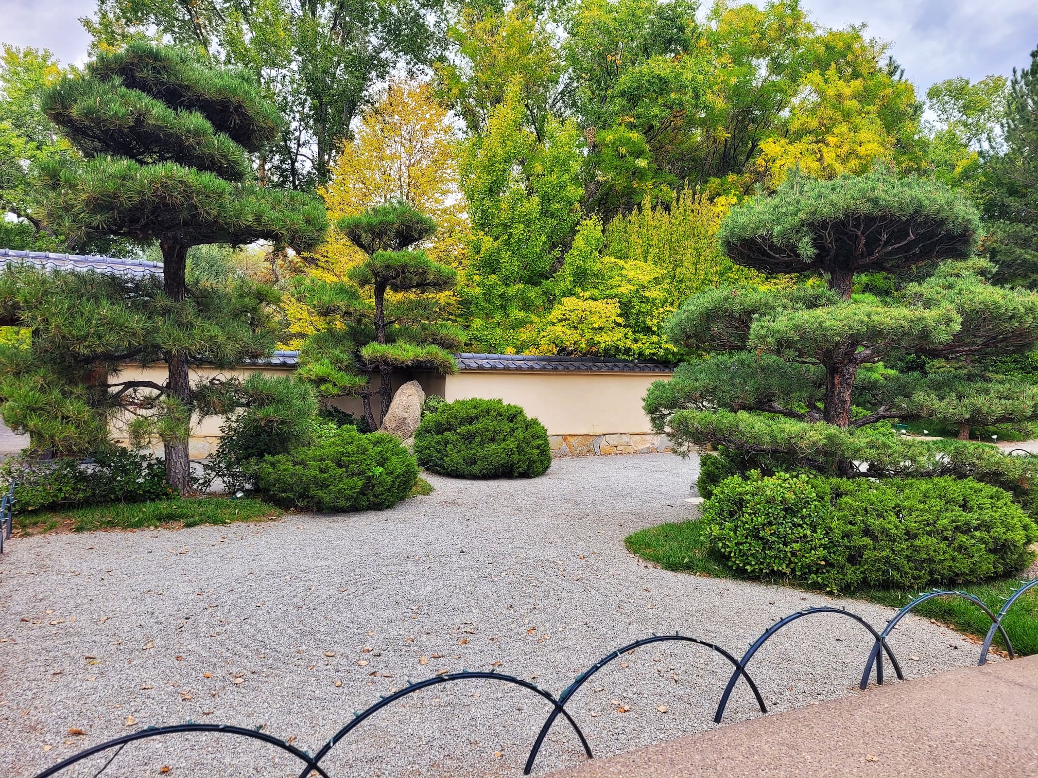 photo of abq biopark japanese garden