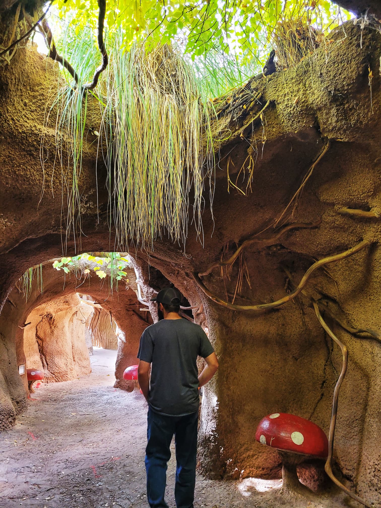 photo of abq biopark children's garden