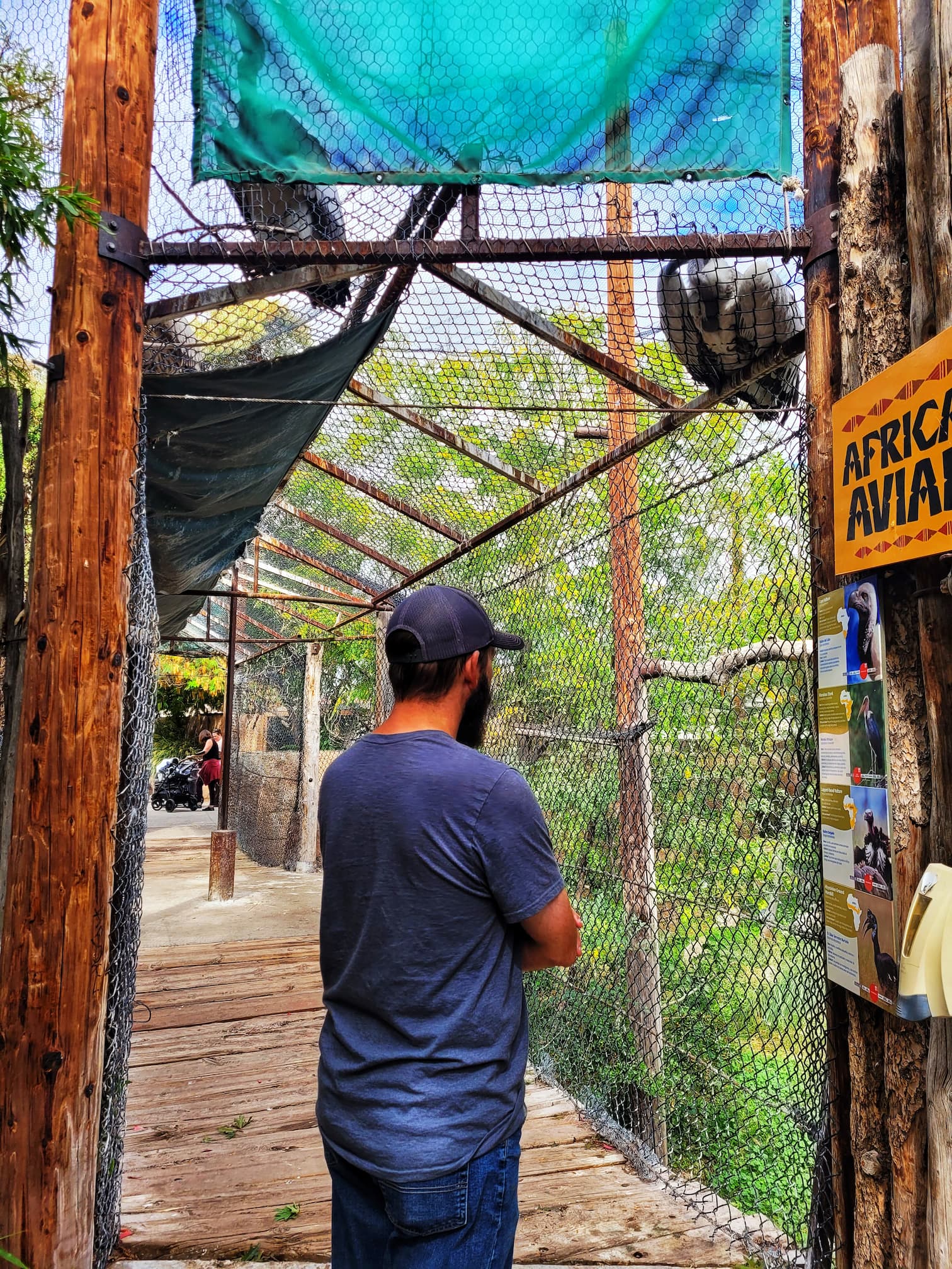 photo of abq biopark african aviary