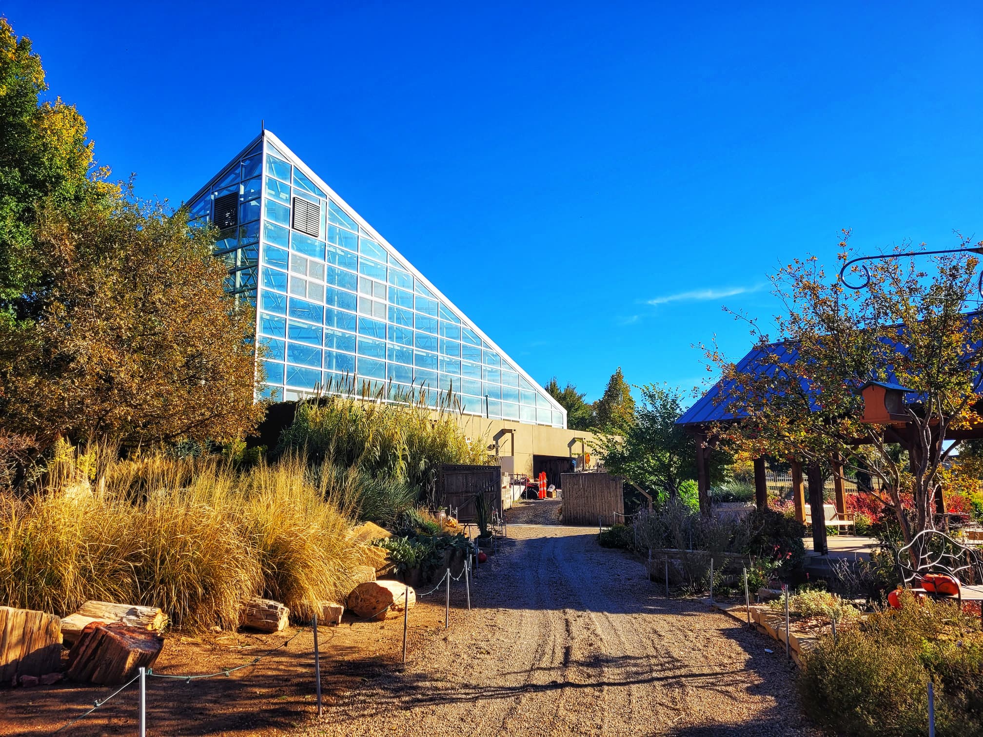photo of amarillo botanical gardens