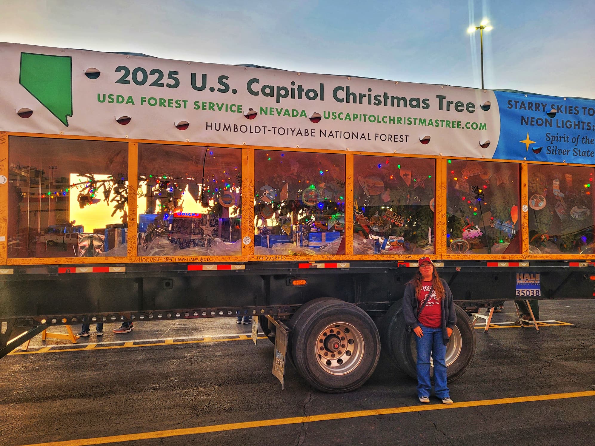 photo of us capitol tree