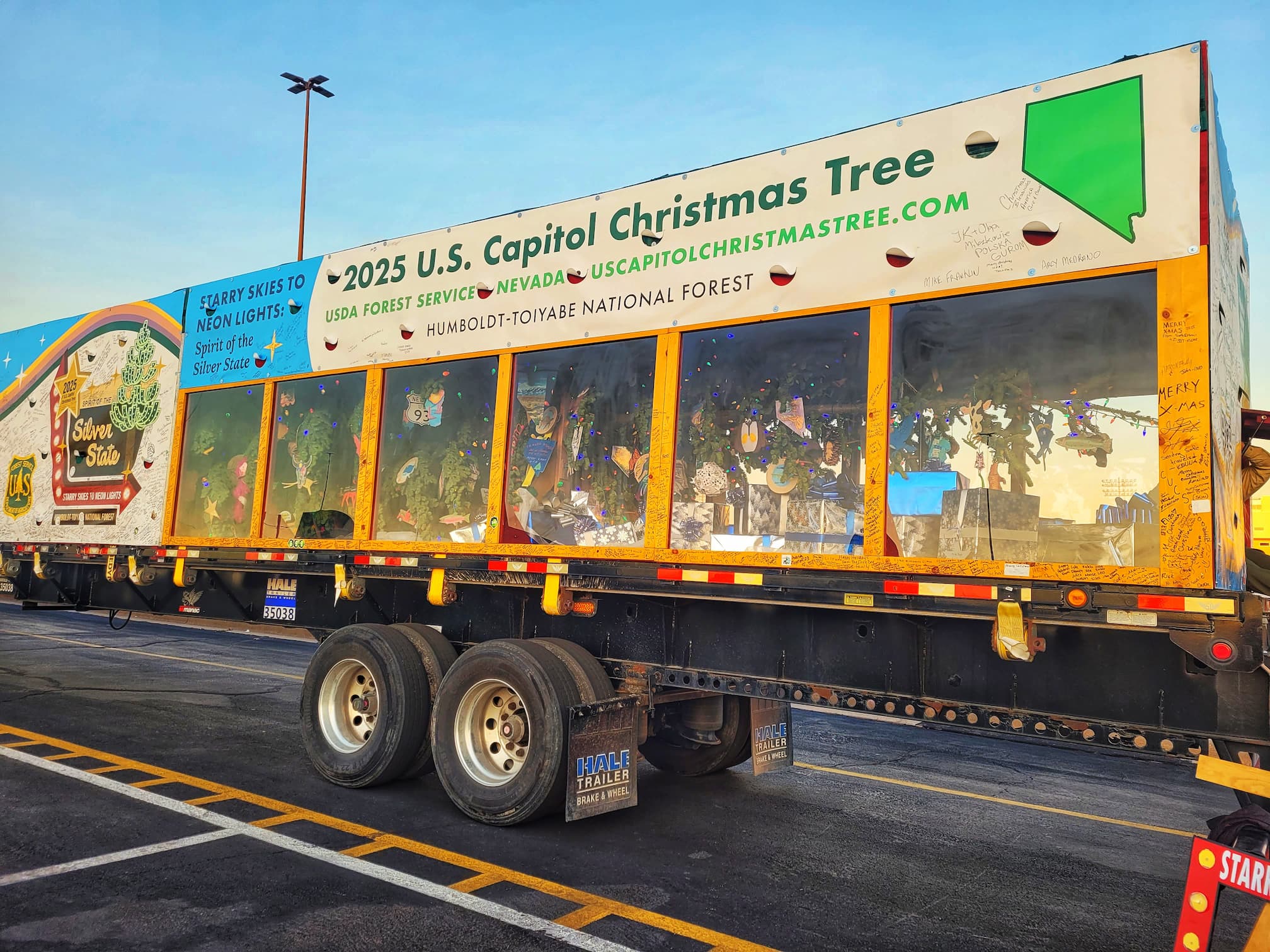 photo of us capitol tree