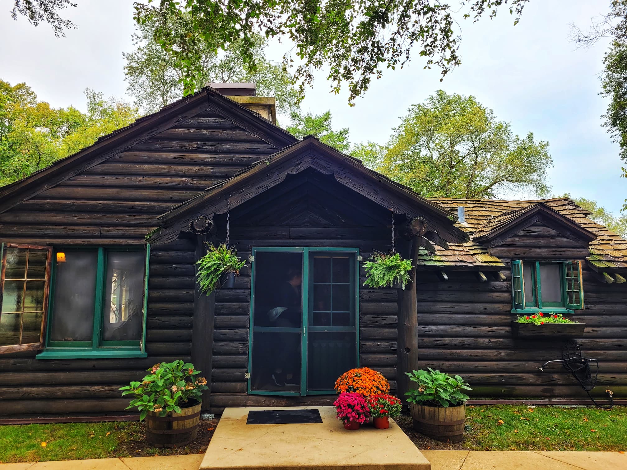 photo of cypress log home