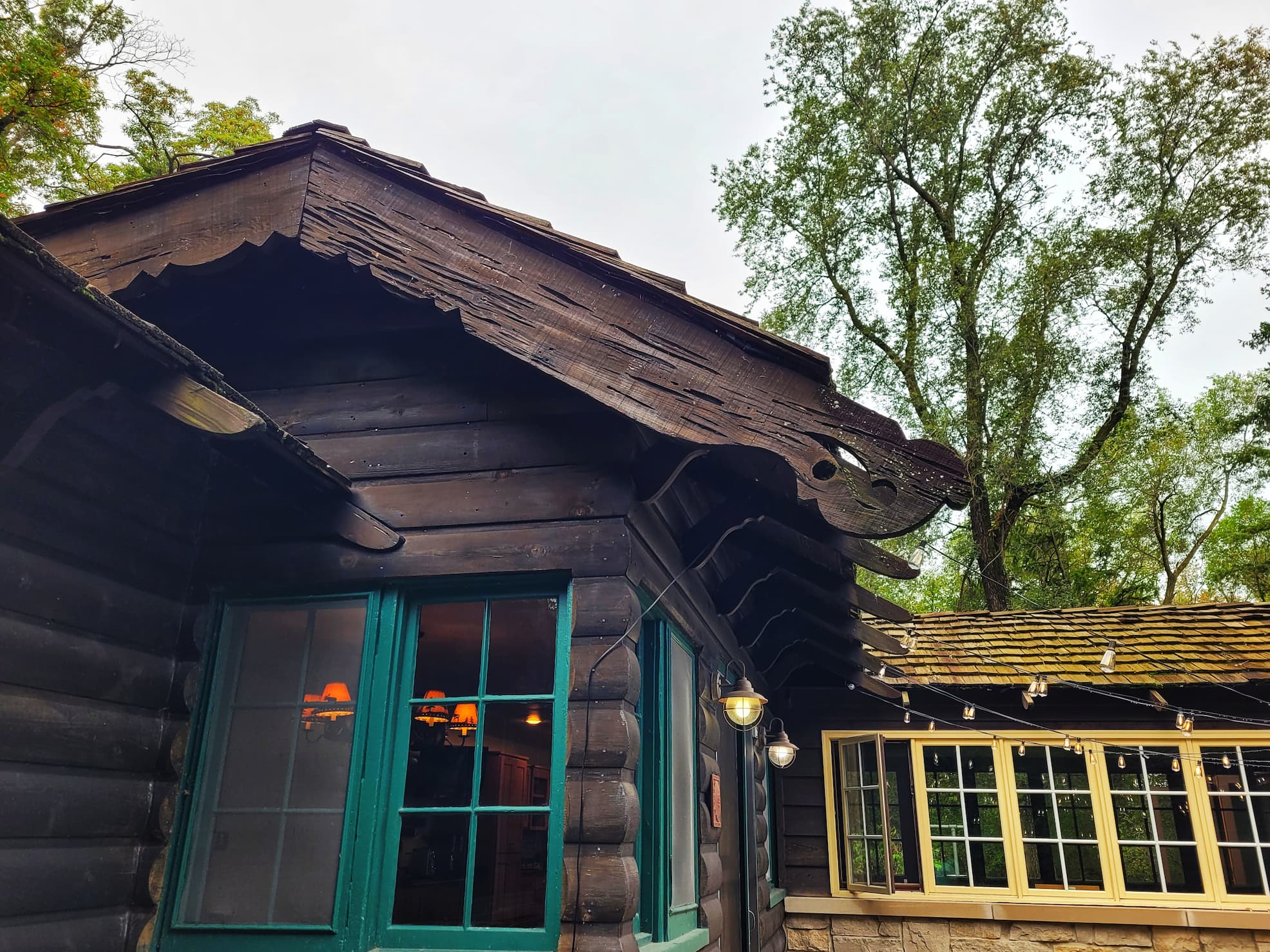 photo of cypress details