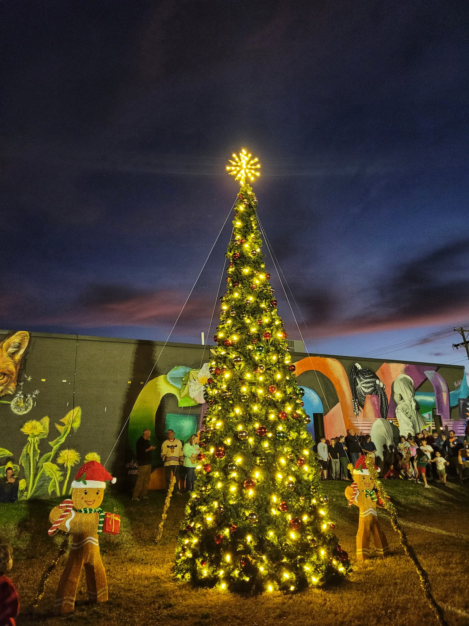 photo of downtown edmond christmas tree