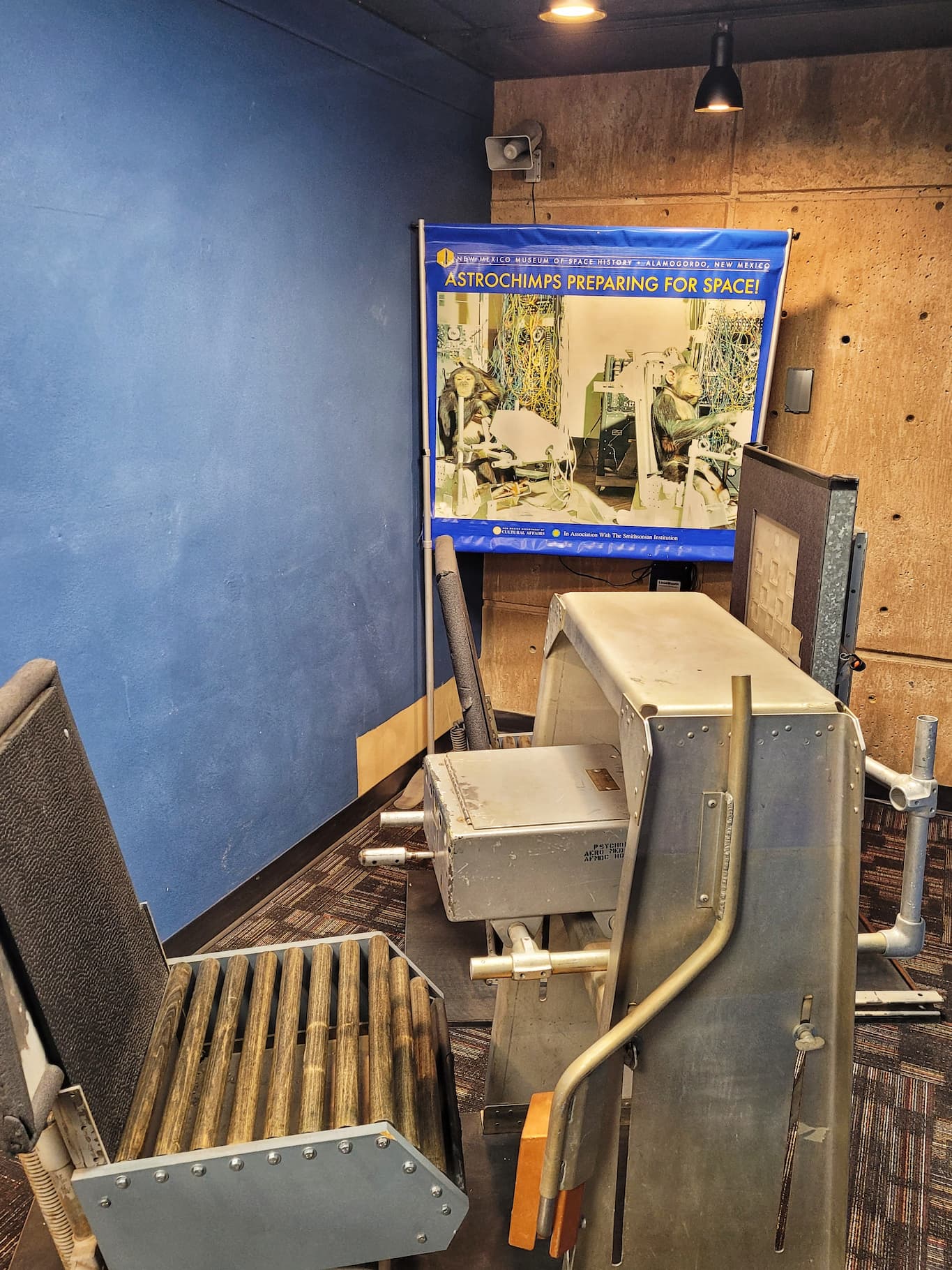 photo of ham the astrochimp exhibit