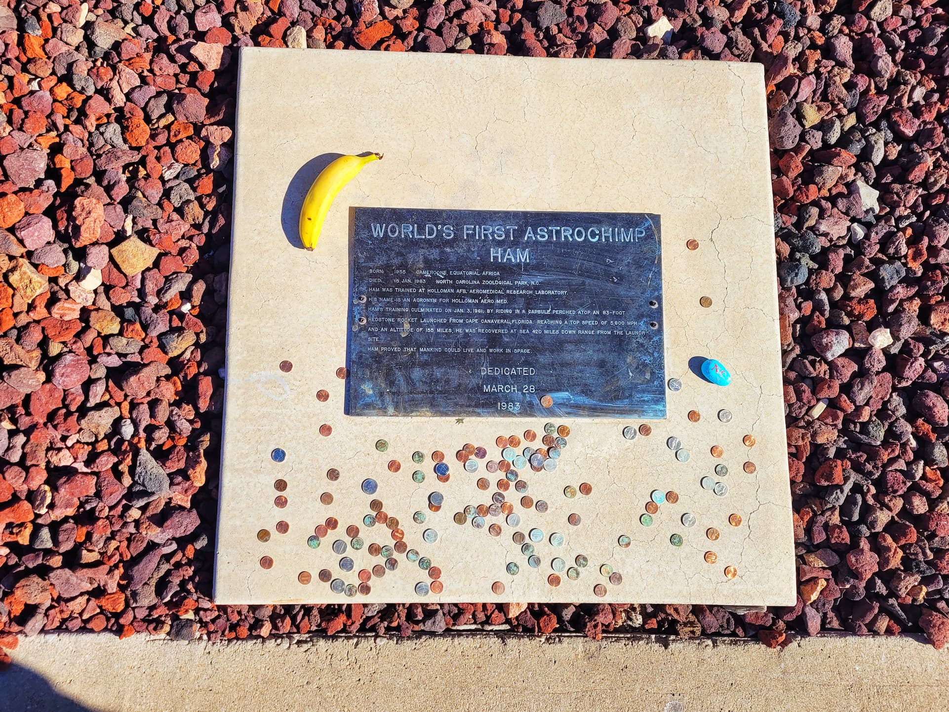 photo of ham the astrochimp's grave