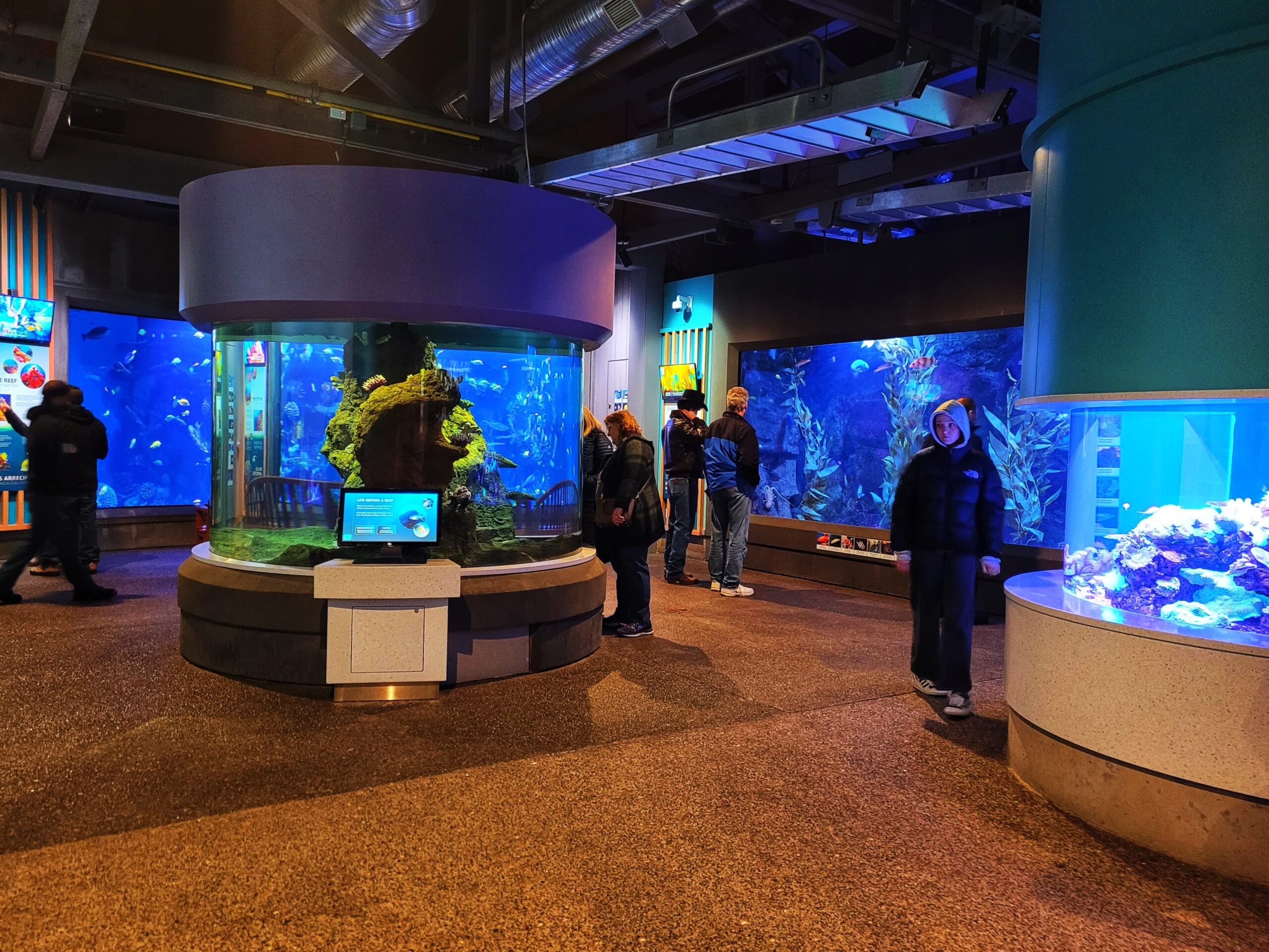 photo of oregon coast aquarium indoor exhibits