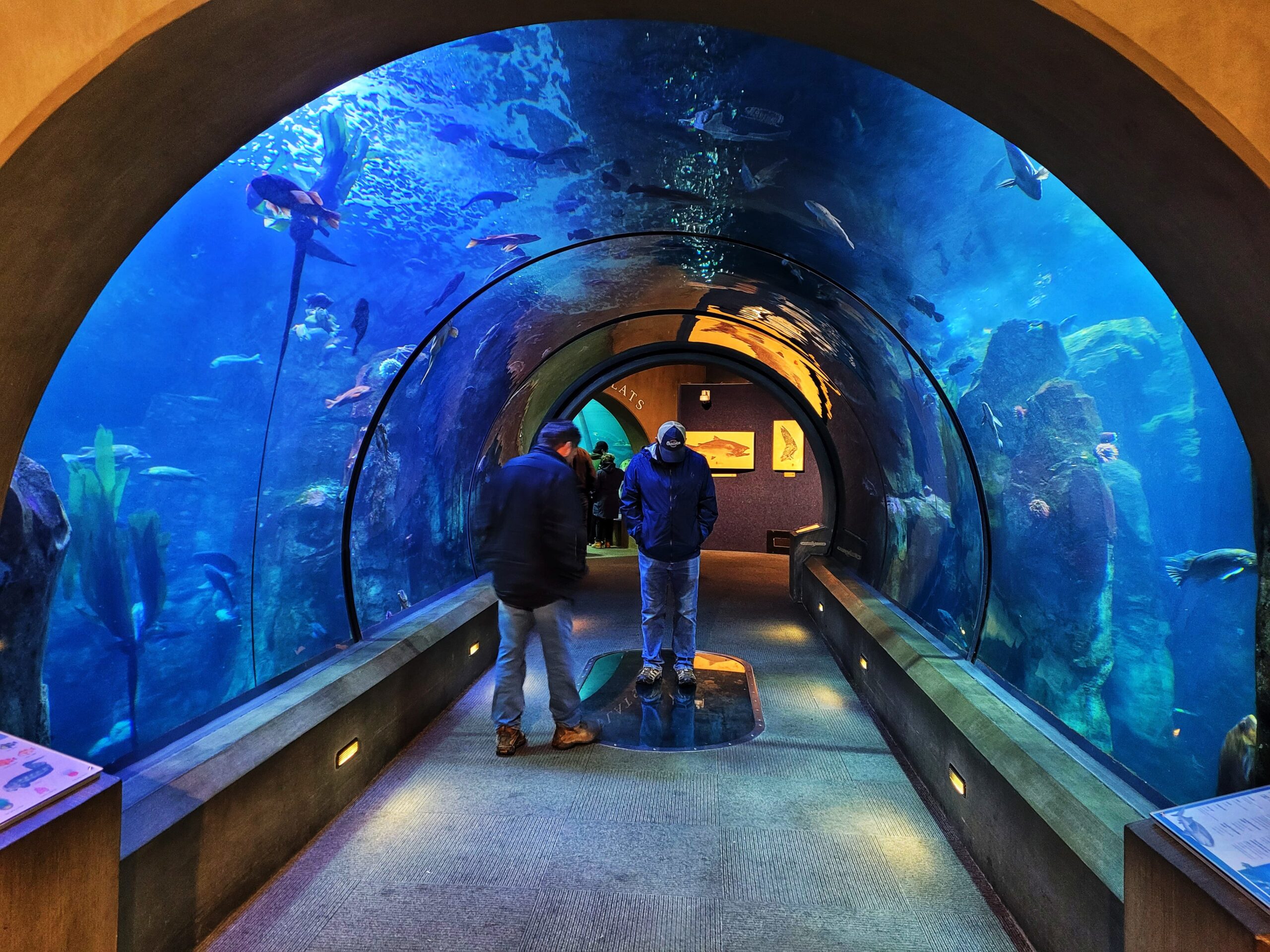 Why the Oregon Coast Aquarium Hooks Visitors Again and Again