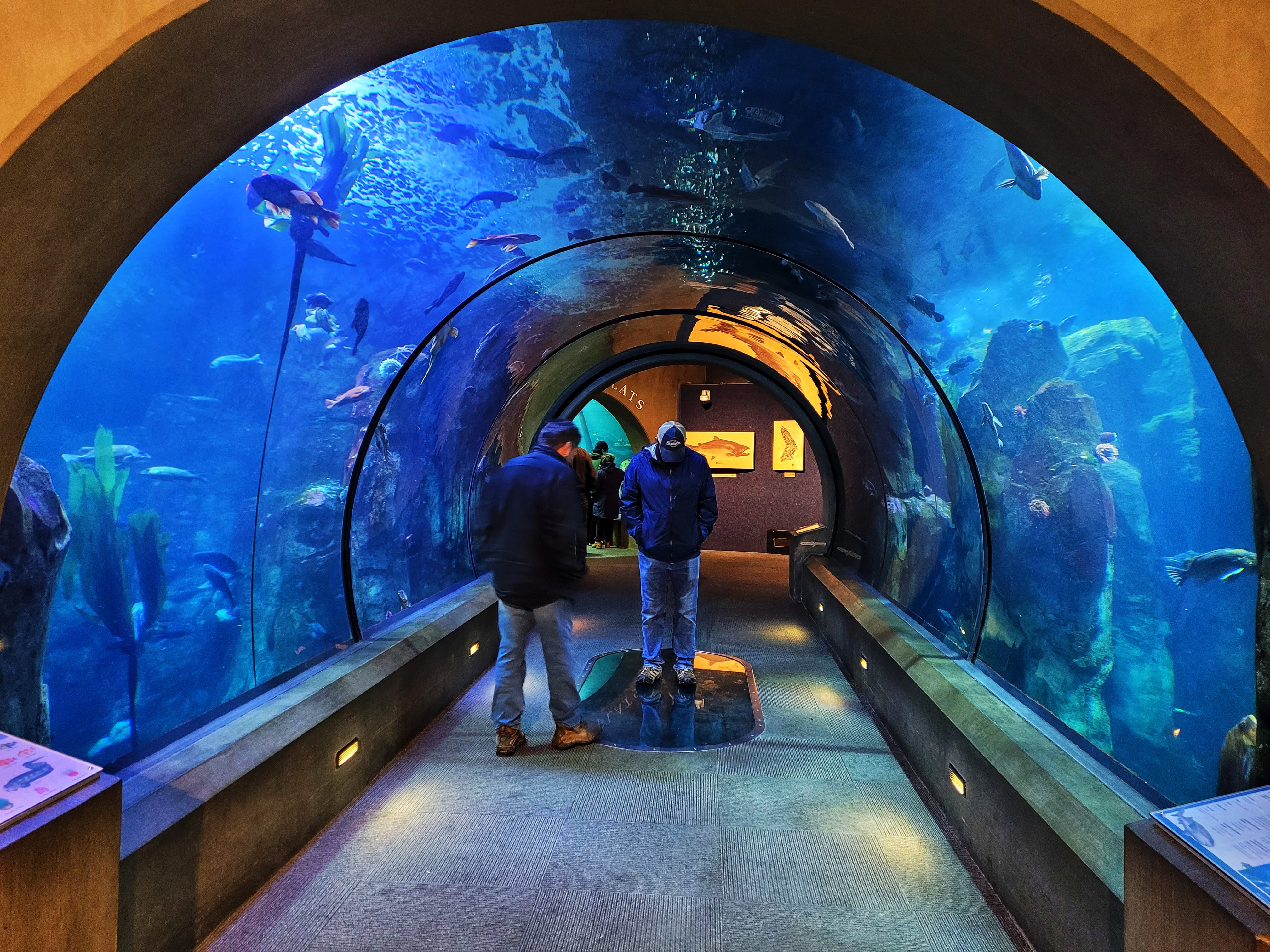 photo of passages of the deep exhibit at oregon coast aquarium