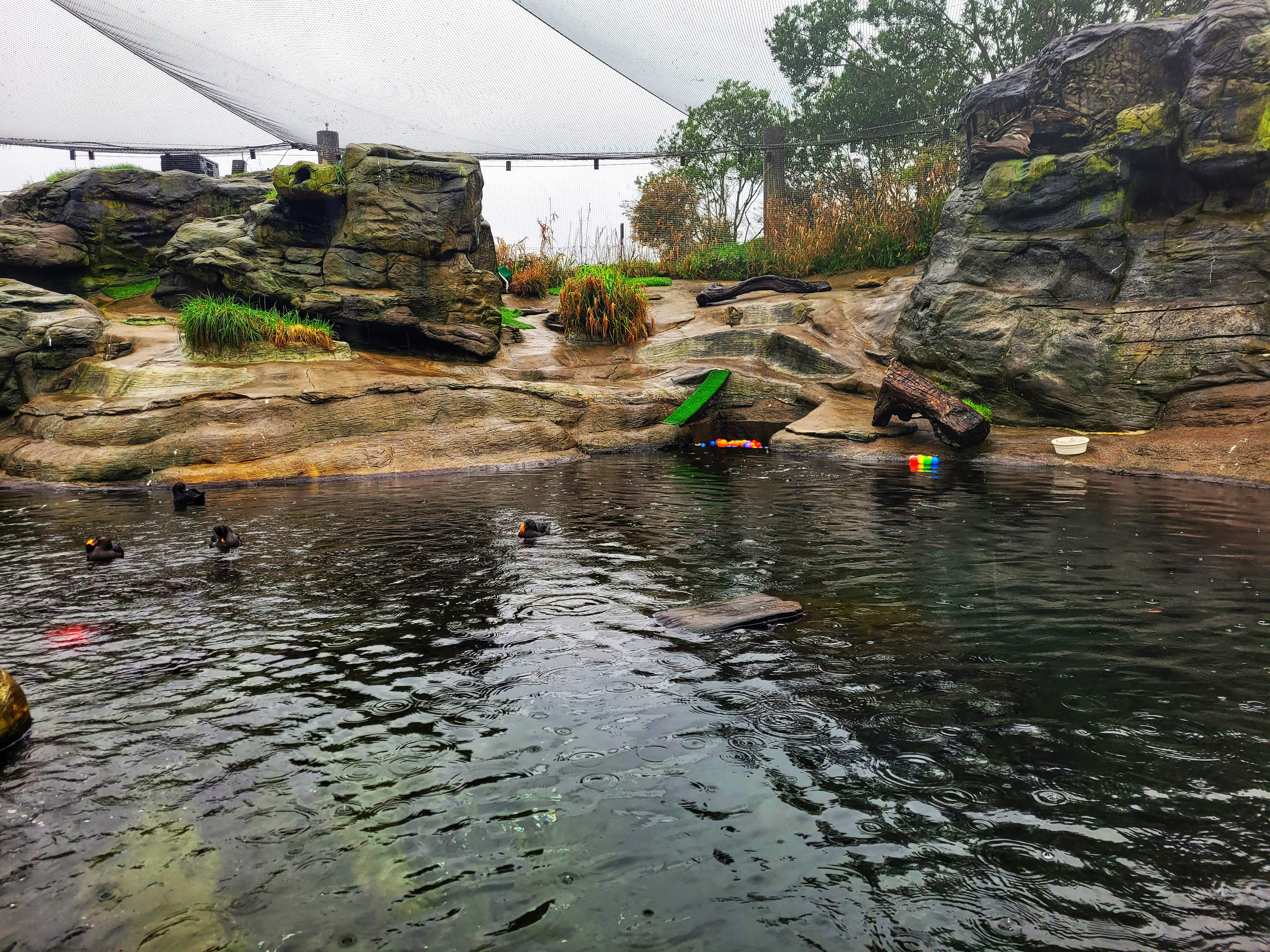 photo of seabird aviary at oregon coast aquarium
