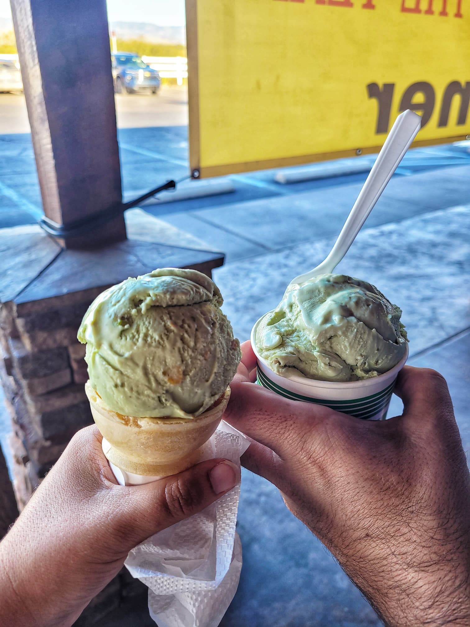 photo of pistachioland pistachio ice-cream