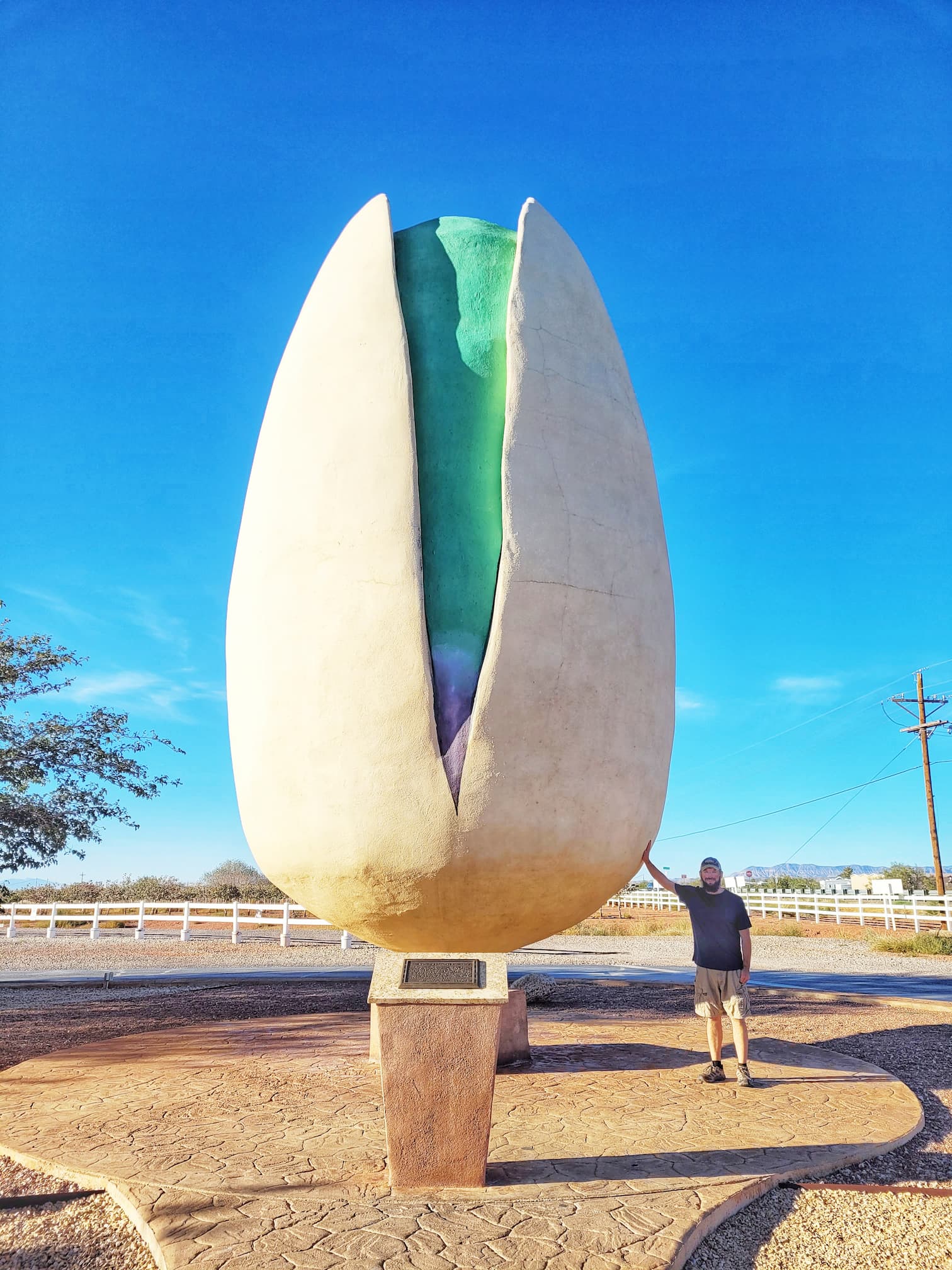 photo of josh with world's largest pistachio