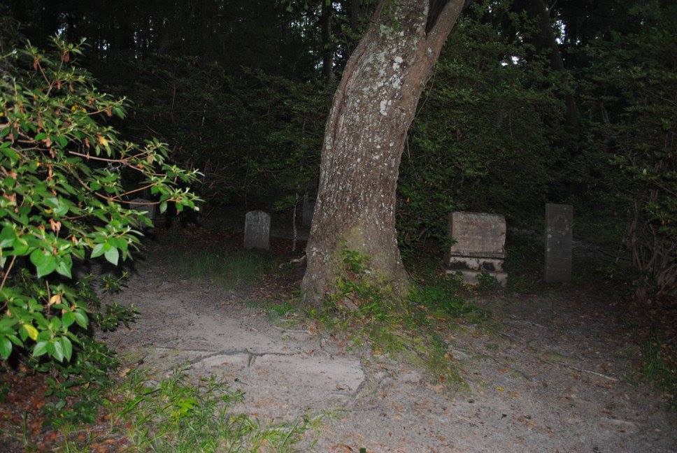 photo of magnolia plantation cemetery