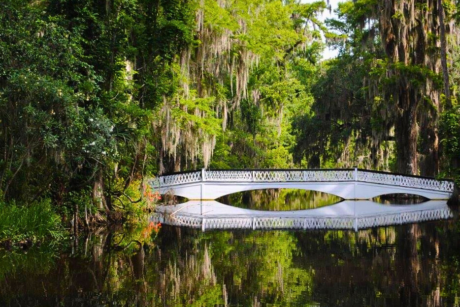 photo of magnolia plantation bridge